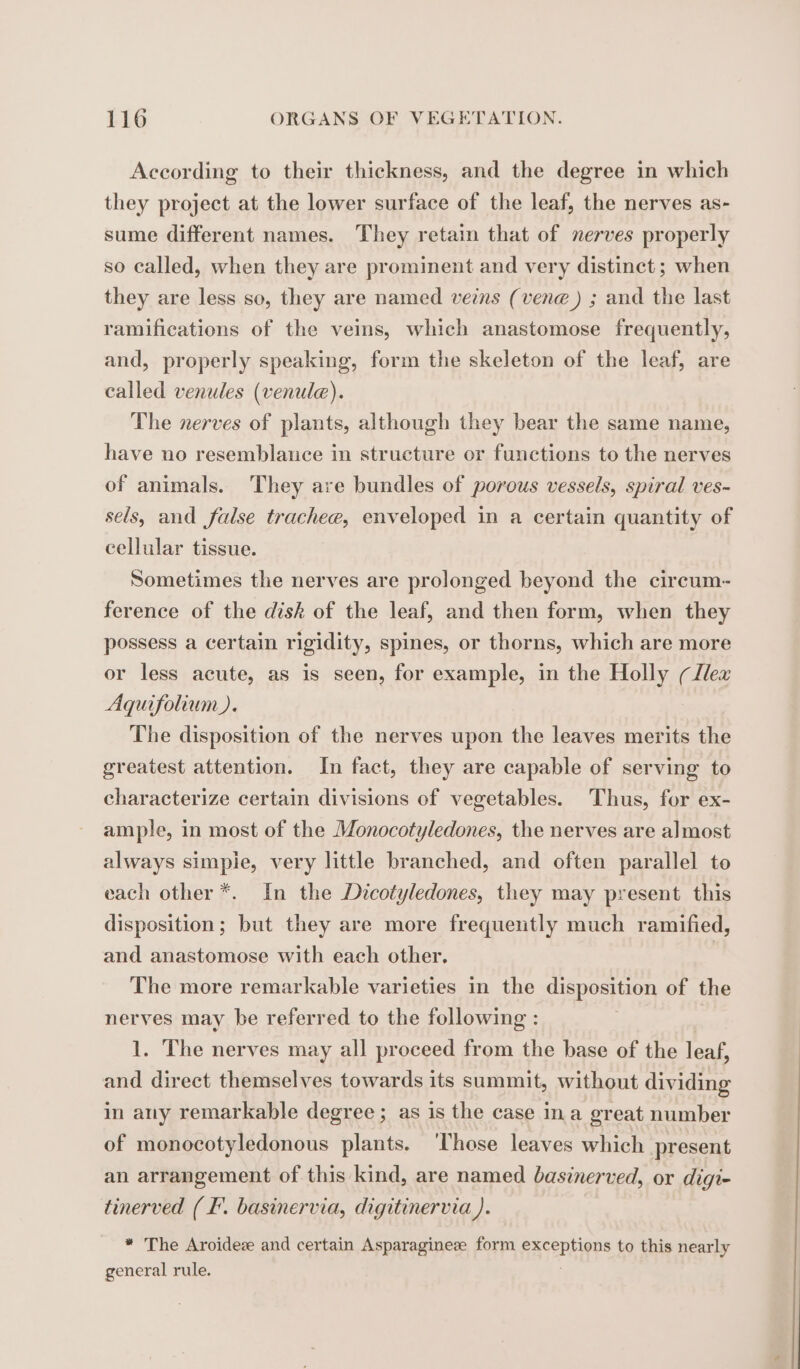According to their thickness, and the degree in which they project at the lower surface of the leaf, the nerves as- sume different names. They retain that of nerves properly so called, when they are prominent and very distinct; when they are less so, they are named veins (venæ) ; and the last ramifications of the veins, which anastomose frequently, and, properly speaking, form the skeleton of the leaf, are called venules (venule). The nerves of plants, although they bear the same name, have no resemblauce in structure or functions to the nerves of animals. They are bundles of porous vessels, spiral ves- sels, and false trachee, enveloped in a certain quantity of cellular tissue. Sometimes the nerves are prolonged beyond the circum- ference of the disk of the leaf, and then form, when they possess a certain rigidity, spines, or thorns, which are more or less acute, as is seen, for example, in the Holly (lex Aquifolium). The disposition of the nerves upon the leaves merits the greatest attention. In fact, they are capable of serving to characterize certain divisions of vegetables. Thus, for ex- ample, in most of the Monocotyledones, the nerves are almost always simple, very little branched, and often parallel to each other *. In the Dicotyledones, they may present this disposition; but they are more frequently much ramified, and anastomose with each other. | The more remarkable varieties in the disposition of the nerves may be referred to the following : 1. The nerves may all proceed from the base of the leaf, and direct themselves towards its summit, without dividing in any remarkable degree ; as is the case ina great number of monocotyledonous plants. ‘Those leaves which present an arrangement of this kind, are named basinerved, or digi- tinerved (I. basinervia, digitinervia ). * The Aroidez and certain Asparagineæ form exceptions to this nearly general rule. |