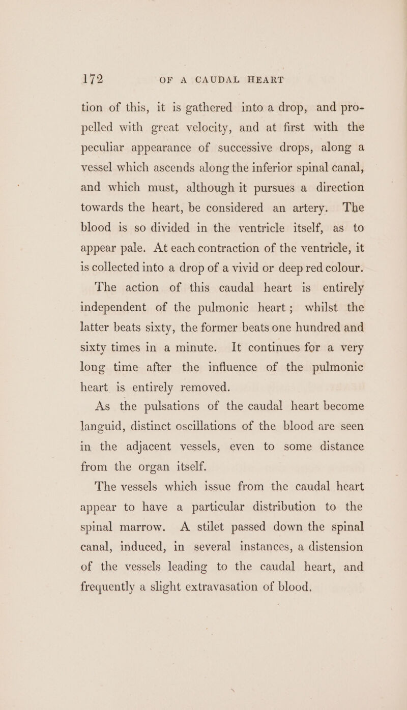 tion of this, it is gathered into a drop, and pro- pelled with great velocity, and at first with the peculiar appearance of successive drops, along a vessel which ascends along the inferior spinal canal, and which must, although it pursues a direction towards the heart, be considered an artery. The blood is so divided in the ventricle itself, as to appear pale. At each contraction of the ventricle, it is collected into a drop of a vivid or deep red colour. The action of this caudal heart is entirely independent of the pulmonic heart; whilst the latter beats sixty, the former beats one hundred and sixty times in a minute. It continues for a very long time after the influence of the pulmonic heart is entirely removed. As the pulsations of the caudal heart become languid, distinct oscillations of the blood are seen in the adjacent vessels, even to some distance from the organ itself. The vessels which issue from the caudal heart appear to have a particular distribution to the spinal marrow. A stilet passed down the spinal canal, induced, in several instances, a distension of the vessels leading to the caudal heart, and frequently a slight extravasation of blood.