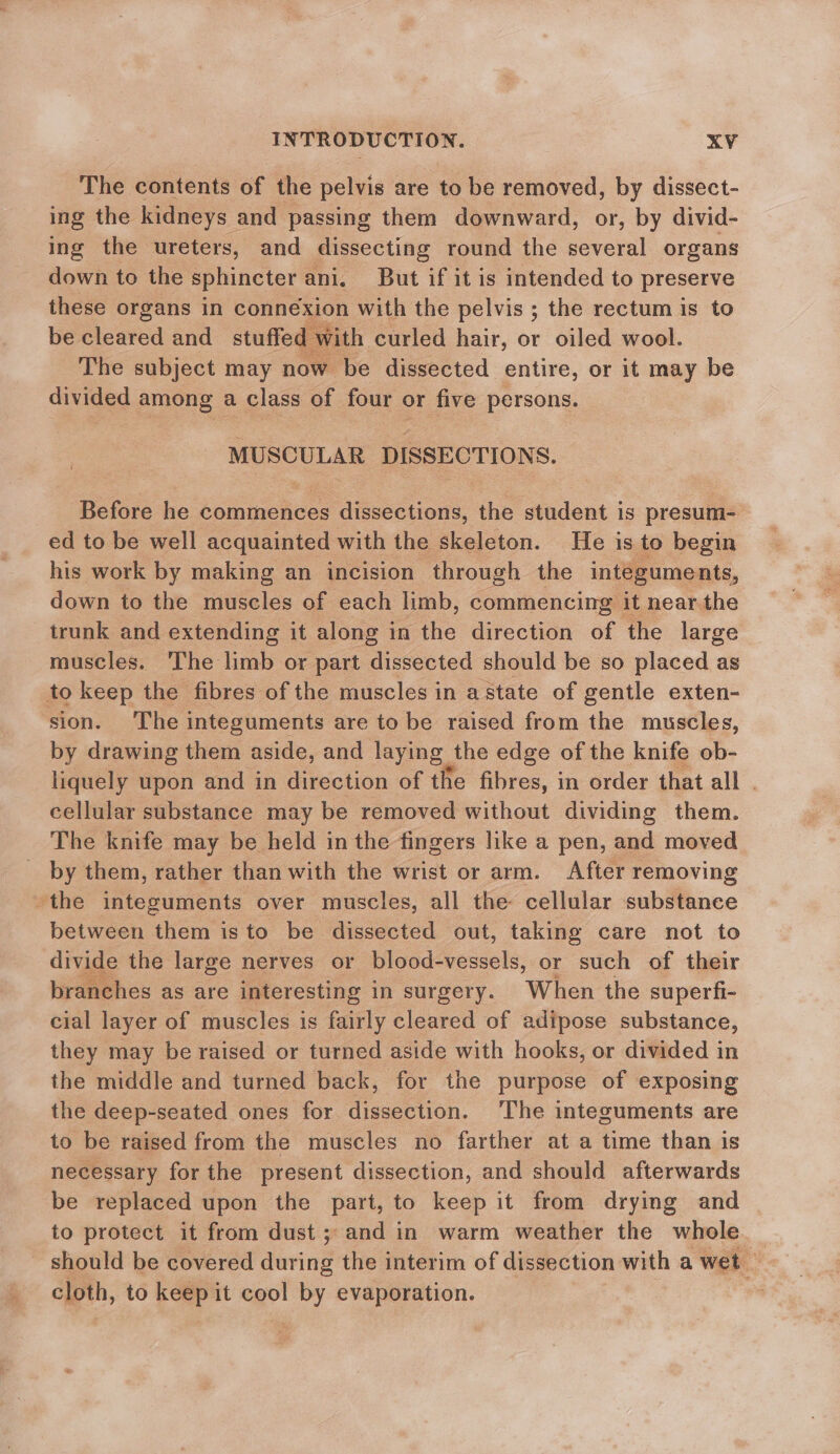 The contents of the pelvis are to be removed, by dissect- ing the kidneys and passing them downward, or, by divid- ing the ureters, and dissecting round the several organs down to the sphincter ani. But if it is intended to preserve these organs in connexion with the pelvis ; the rectum is to be cleared and_ stuffed with curled hair, or oiled wool. The subject may now be dissected entire, or it may be divided among a Class of fe or five persons. MUSCULAR DISSECTIONS. Before he commences ssccdae the student i is presum- ed to be well acquainted with the skeleton. He is to begin his work by making an incision through the integuments, down to the muscles of each limb, commencing it nearthe trunk and extending it along in the direction of the large muscles. The limb or part dissected should be so placed as to keep the fibres of the muscles in a state of gentle exten- sion. The integuments are to be raised from the muscles, by drawing them aside, and laying | the edge of the knife ob- liquely upon and in direction of the fibres, in order that all . cellular substance may be removed without dividing them. The knife may be held in the fingers like a pen, and moved by them, rather than with the wrist or arm. After removing the integuments over muscles, all the cellular substance between them isto be dissected out, taking care not to divide the large nerves or blood-vessels, or such of their branches as are interesting in surgery. When the superfi- cial layer of muscles is fairly cleared of adipose substance, they may be raised or turned aside with hooks, or divided in the middle and turned back, for the purpose of exposing the deep-seated ones for dissection. The integuments are to be raised from the muscles no farther at a time than is necessary for the present dissection, and should afterwards be replaced upon the part, to keep it from dryimg and to protect it from dust; and in warm weather the whole should be covered during the interim of dissection with a wet cloth, to keep it cool by evaporation.