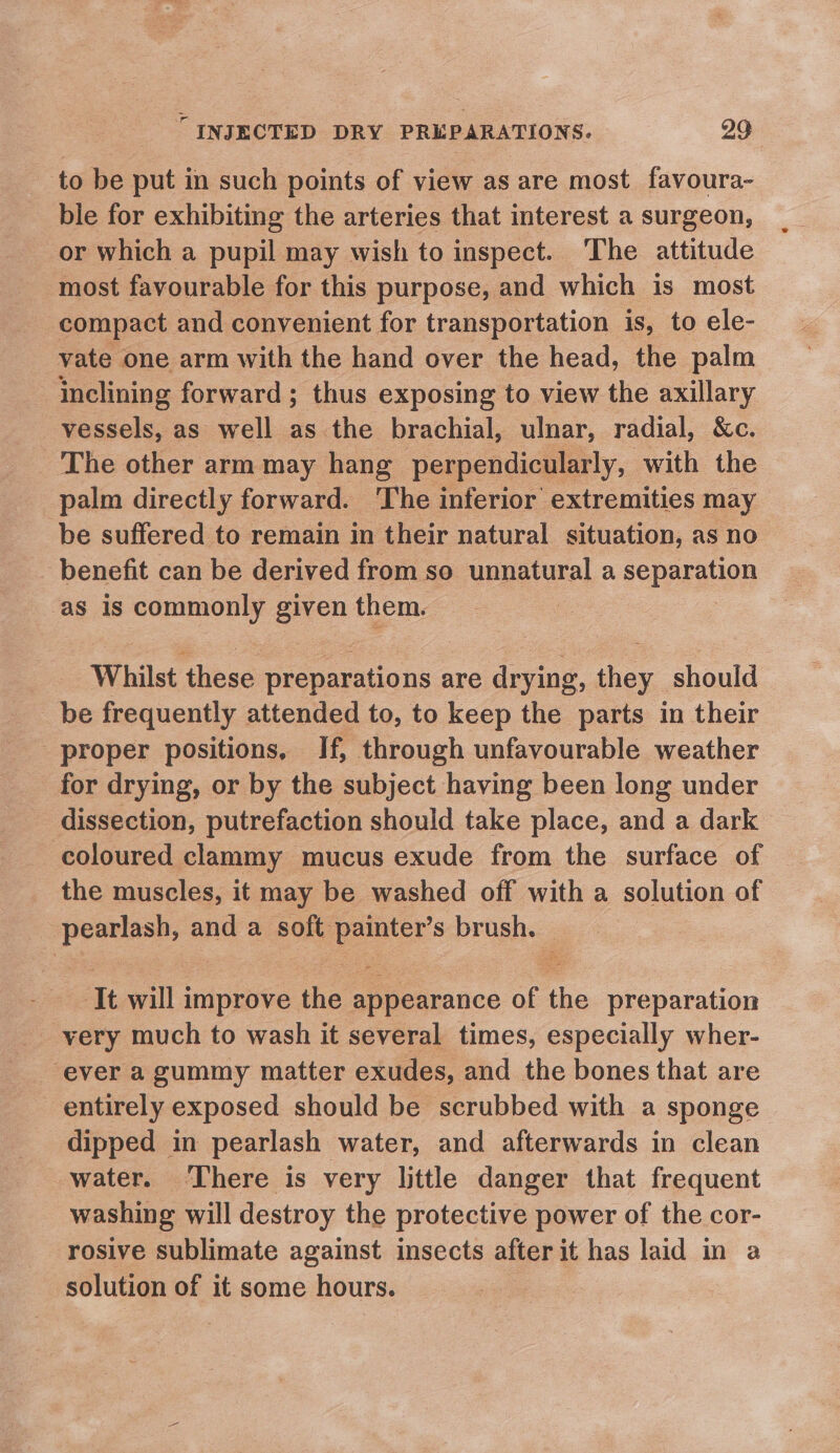 to be put in such points of view as are most favoura- ble for exhibiting the arteries that interest a surgeon, or which a nie may wish to inspect. ‘The attitude most favourable for this purpose, and which is most compact and convenient for transportation is, to ele- vate one arm with the hand over the head, the palm inclining forward; thus exposing to view the axillary vessels, as well as the brachial, ulnar, radial, &amp;c. The other arm may hang perpendicularly, with the palm directly forward. The inferior extremities may be suffered to remain in their natural situation, as no _ benefit can be derived from so unnatural a seperation as is commonly given them. ; Whilst these pi bare are drying, they should be frequently attended to, to keep the parts in their proper positions, If, through unfavourable weather for drying, or by the subject having been long under dissection, putrefaction should take place, and a dark coloured clammy mucus exude from the surface of the muscles, it may be washed off with a solution of ease and a soft peter s brush. ‘It will improve the appearance of the preparation _ yery much to wash it several times, especially wher- ever a gummy matter exudes, and the bones that are entirely exposed should be scrubbed with a sponge dipped in pearlash water, and afterwards in clean water. There is very little danger that frequent washing will destroy the protective power of the cor- rosive sublimate against insects after it has laid in a solution of it some hours.