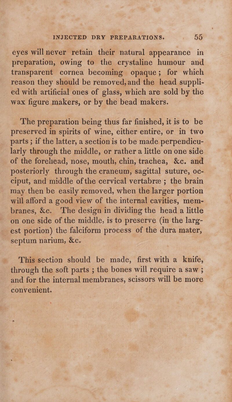 eyes i never retain their natural appearance in preparation, owing to the— crystaline humour and transparent cornea becoming | opaque ; for which reason they should be removed, and the head suppli- ed with artificial ones of glass, which are sold by the wax figure makers, or by the bead makers. _ The preparation being thus far finished, it is to be preserved in spirits of wine, either entire, or in two __ parts ; if the latter, a section is to be made perpendicu- larly through the middle, or rather a little on one side of the forehead, nose, mouth, chin, trachea, &amp;c. and posteriorly through the craneum, sagittal suture, oc- ciput, and middle of the cervical vertabre ; the brain may then be easily removed, when the larger portion | will afford a good view of the internal cavities, mem- branes, &amp;c. The design in dividing the head a little - est. portion) the falciform prey, of the dura mater, ‘septum narium, &amp;e. This section hiould be made, first with a knife, _ through the soft parts ; the bones will require a saw ; and for the internal membranes, scissors will be more | “convenient.