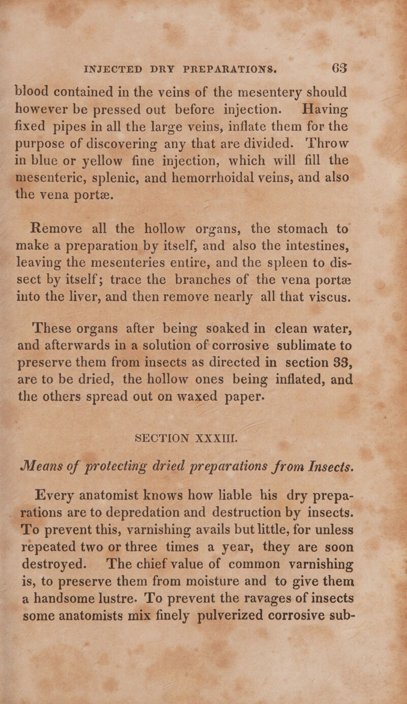 blood contained in the veins of the mesentery should however be pressed out before injection. Having fixed pipes in all the large veins, inflate them for the purpose of discovering any that are divided. ‘Throw in blue or yellow fine injection, which will fill the the vena porte. Remove all the hollow organs, the stomach to _make a preparation by itself, and also the intestines, leaving the mesenteries entire, and the spleen to dis- sect by itself; trace the branches of the vena porte into the liver, and then remove nearly all that viscus. These organs after being soaked in clean water, and afterwards in a solution of corrosive sublimate to preserve them from insects as directed in section 33, are to be dried, the hollow ones being inflated, and _ the others spread out on waxed paper. SECTION XXXII. : Means of protecting dried preparations from Insects. Every anatomist knows how liable his dry prepa- rations are to depredation and destruction by insects. To prevent this, varnishing avails but little, for unless repeated two or three times a year, they are soon destroyed. The chief value of common varnishing is, to preserve them from moisture and to give them a handsome lustre. 'To prevent the ravages of insects some anatomists mix finely pulverized corrosive sub-