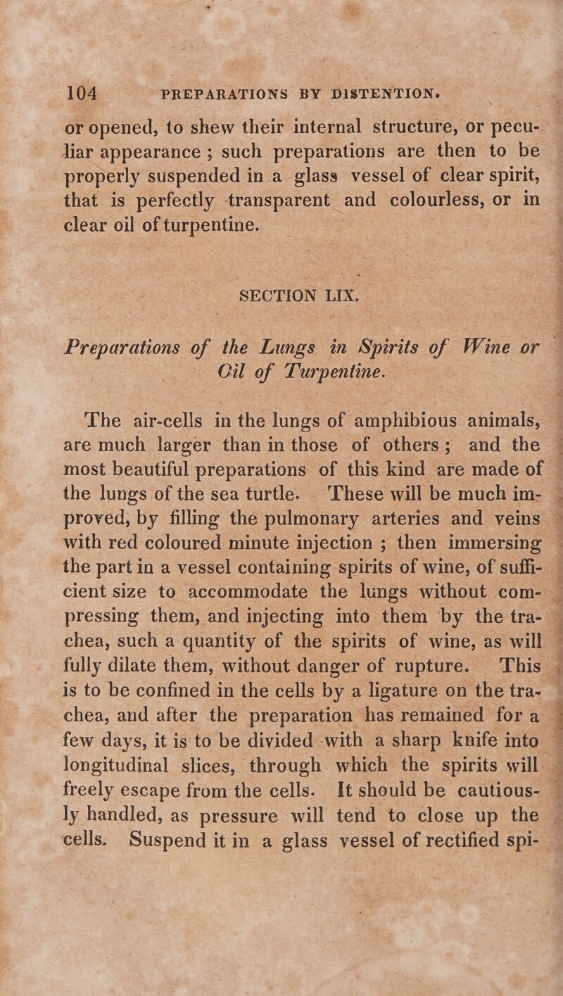 or opened, to shew their internal structure, or pecu- — liar appearance ; such preparations are then to be properly suspended in a glass vessel of clear spirit, that is perfectly transparent and colourless, or in clear oil of turpentine. SECTION LIX. Preparation of the lee in Spirits of Wine or : aoe Gil of Turpentine. The air-cells in the lungs of amphibious animals, are much larger than in those of others; and the — most beautiful preparations of this kind are made of — the lungs of the sea turtle. | These will be much im- ~ proved, by filling the sbleiduary arteries and veins — with red coloured minute injection ; then immersing — the part in a vessel containing spirits of wine, of suffi- a cient size to accommodate the lungs without com- — pressing them, and injecting into them by the tra- — chea, such a quantity of the spirits of wine, as will — fully dilate them, without danger of rupture. This — is to be confined in the cells by a ligature on the tra- © -chea, and after the preparation has remained fora — few days, it is to be divided with a sharp knife into ~ longitudinal slices, through which the spirits will — freely escape from the cells. It should be cautious- — ly handled, as pressure will tend to close up the cells. Suspend it in a glass vessel of rectified spi-
