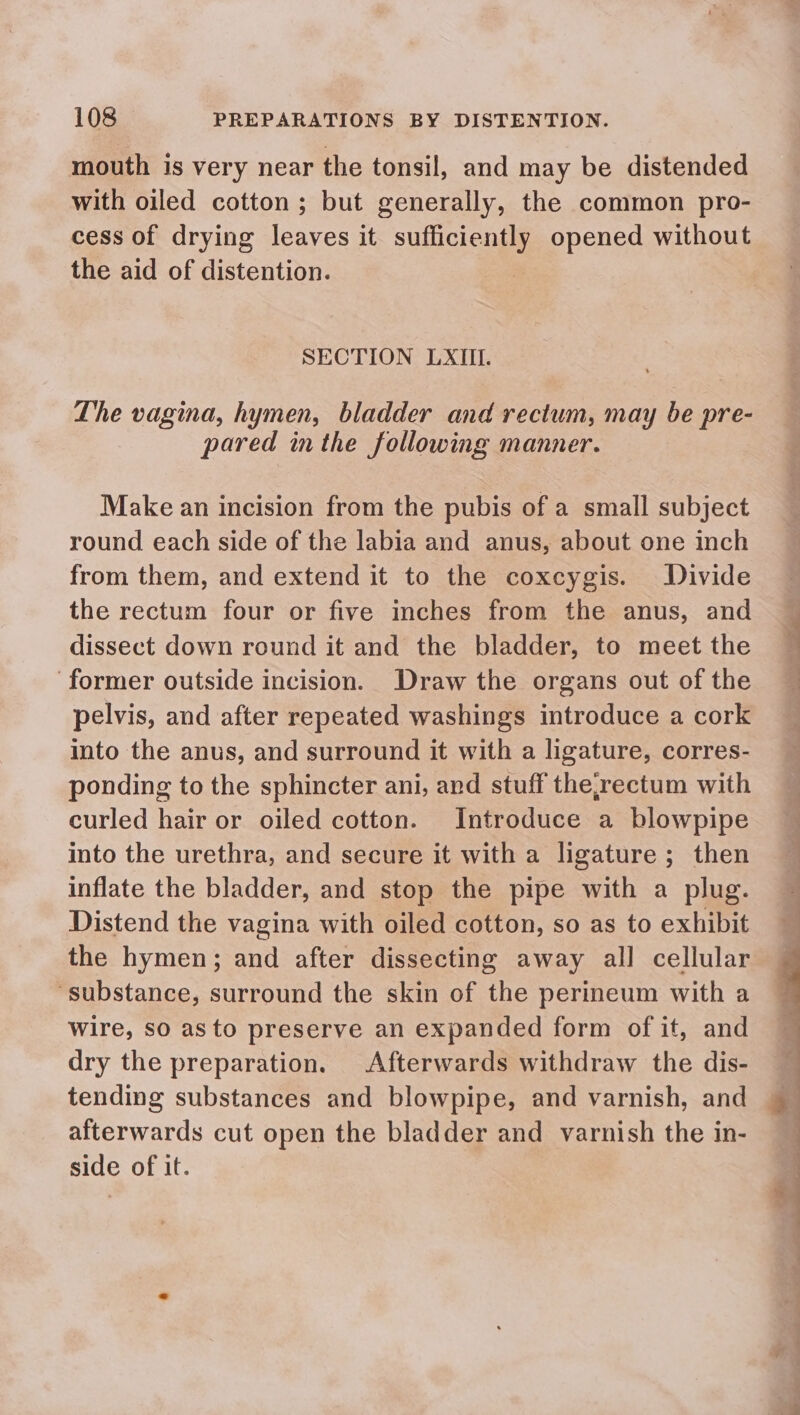 mouth is very near the tonsil, and may be distended with oiled cotton ; but generally, the common pro- cess of drying leaves it sufficiently opened without the aid of distention. : SECTION LXII. Lhe vagina, hymen, bladder and rectum, may be pre- pared inthe following manner. Make an incision from the pubis of a small subject round each side of the labia and anus, about one inch from them, and extend it to the coxcygis. Divide the rectum four or five inches from the anus, and dissect down round it and the bladder, to meet the former outside incision. Draw the organs out of the pelvis, and after repeated washings introduce a cork into the anus, and surround it with a ligature, corres- ponding to the sphincter ani, and stuff the,rectum with curled hair or oiled cotton. Introduce a blowpipe into the urethra, and secure it with a ligature ; then inflate the bladder, and stop the pipe with a plug. Distend the vagina with oiled cotton, so as to exhibit the hymen; and after dissecting away all cellular ‘substance, surround the skin of the perineum with a wire, So as to preserve an expanded form of it, and dry the preparation. Afterwards withdraw the dis- tending substances and blowpipe, and varnish, and afterwards cut open the bladder and varnish the in- side of it.