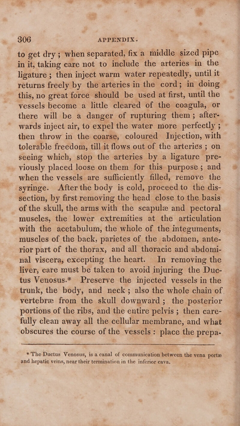 to get dry ; when separated, fix a middle sized pipe in it, taking care not to include the arteries in the ligature ; then inject warm water repeatedly, until it returns freely by the arteries in the cord; in doing this, no great force should be used at first, until the vessels become a little cleared of the coagula, or there will be a danger of rupturing them ; after- wards inject air, to expel the water more perfectly ; » then throw in the coarse, coloured Injection, with tolerable freedom, till it flows out of the arteries ; on seeing which, stop the arteries by a ligature pre- viously placed loose on them for this purposes; and when the vessels are sufficiently filled, remove the syringe. After the body is cold, proceed to the dis- section, by first removing the head close to the basis of the skull, the arms with the scapule and pectoral muscles, the lower extremities at the articulation with the acetabulum, the whole of the integuments, muscles of the back, parietes of the abdomen, ante- rior part of the thorax, and all thoracic and abdomi- nal viscera, excepting the heart. In removing the liver, care must be taken to avoid injuring the Duc- tus Venosus.* Preserve the injected vessels in the trunk, the body, and neck; also the whole chain of ~ vertebre from the skull downward; the posterior portions of the ribs, and the entire pelvis ; then care- fully clean away all the cellular membrane, and what obscures the course of the vessels: place the prepa- * The Ductus Venosus, is a canal of communication between the vena porte and hepatic veins, near their termination in the inferior cava.