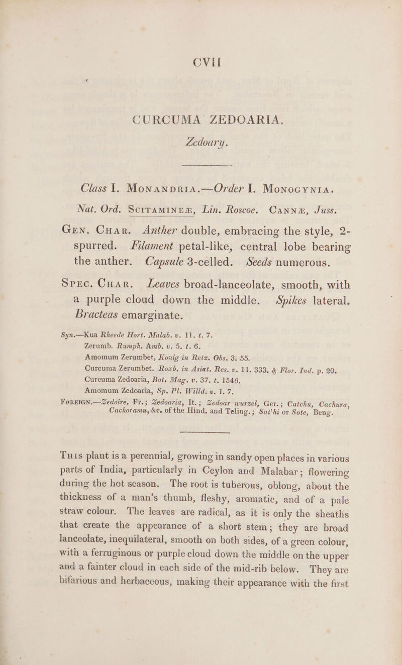 CVil CURCUMA ZEDOARIA. Zedoary. Class 1. Monanpria.—Order I. Monocynia. Nat. Ord. Sciraminem, Lin. Roscoe. Cannam, Juss. Gren. Cuar. Anther double, embracing the style, 2- spurred. idament petal-like, central lobe bearing the anther. Capsule 3-celled. Seeds numerous. Spec. Cuar. Leaves broad-lanceolate, smooth, with a purple cloud down the middle. Spikes lateral. Bracteas emarginate. Syn.—Kua Rheede Hort. Malad. v. 11. t. 7. Zerumb. Rumph. Amb, v. 5, t. 6. Amomum Zerumbet, Konig in Retz. Obs. 3. 55. Curcuma Zerumbet. Roxb. in Asiat. Res. v. 11. 333, &amp; Flor. Ind. p. 20. Cureuma Zedoaria, Bot. Mag. v. 37. t. 1546, Amomum Zedoaria, Sp. Pl. Willd. ». 1.7. FerEIGN.—Zedoire, Fr.; Sedoaria, It.; Zedoar wurezel, Ger. ; Catchu, Cachura, Cachoramu, &amp;e, of the Hind. and Teling.; Sat’hi or Sote, Beng. Tuts plant is a perennial, growing in sandy open places in various parts of India, particularly in Ceylon and Malabar; flowering during the hot season. The root is tuberous, oblong, about the thickness of a man’s thumb, fleshy, aromatic, and of a pale straw colour. The leaves are radical, as it is only the sheaths that create the appearance of a short stem; they are broad lanceolate, inequilateral, smooth on both sides, of a green colour, with a ferruginous or purple cloud down the middle on the upper and a fainter cloud in each side of the mid-rib below. They are bifarious and herbaccous, making their appearance with the first