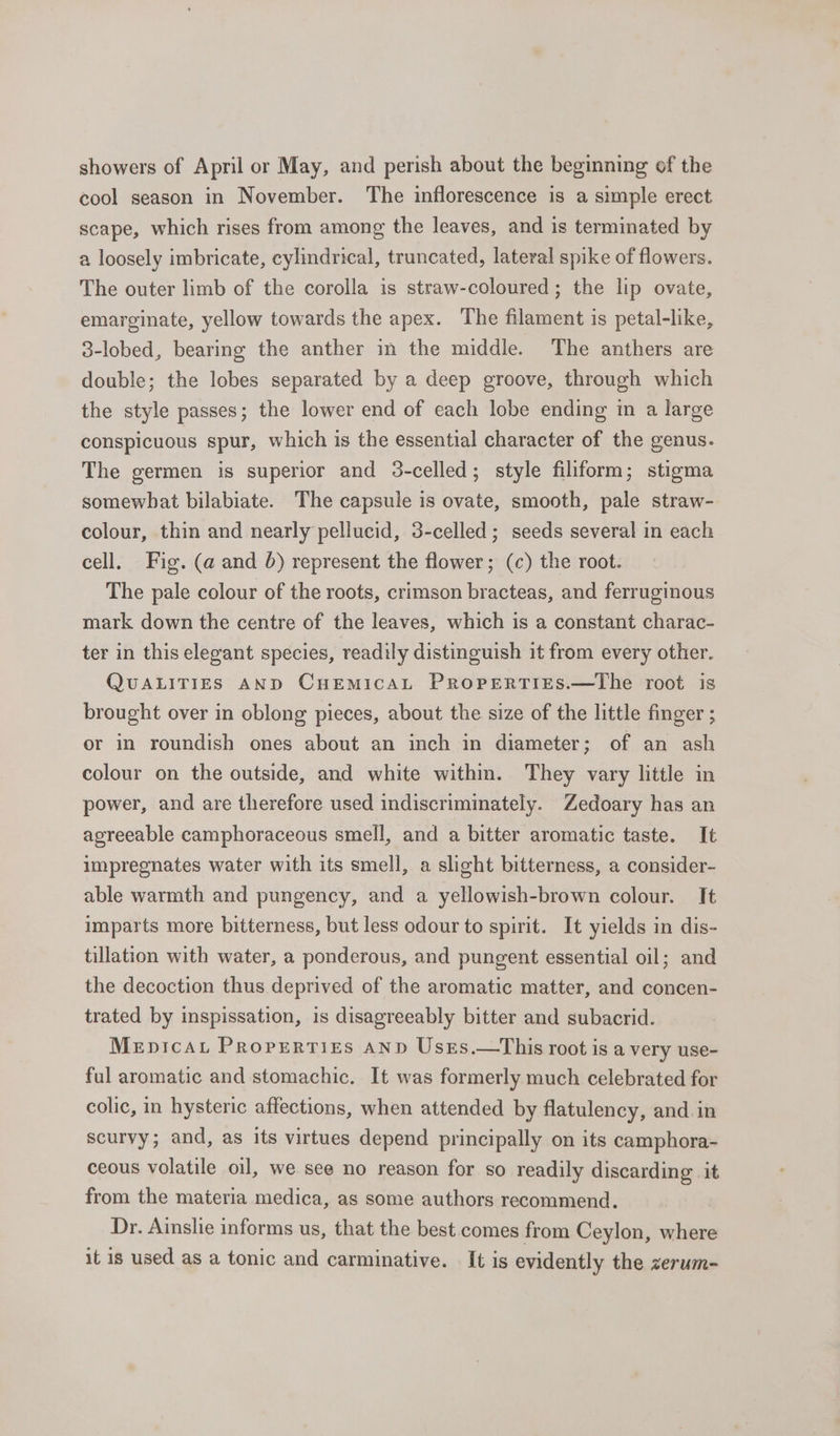 showers of April or May, and perish about the beginning of the cool season in November. The inflorescence is a simple erect scape, which rises from among the leaves, and is terminated by a loosely imbricate, cylindrical, truncated, lateral spike of flowers. The outer limb of the corolla is straw-coloured ; the lip ovate, emarginate, yellow towards the apex. The filament is petal-like, 3-lobed, bearing the anther in the middle. The anthers are double; the lobes separated by a deep groove, through which the style passes; the lower end of each lobe ending in a large conspicuous spur, which is the essential character of the genus. The germen is superior and 3-celled; style filiform; stigma somewhat bilabiate. The capsule is ovate, smooth, pale straw- colour, thin and nearly pellucid, 3-celled; seeds several in each cell, Fig. (a and 6) represent the flower; (c) the root. The pale colour of the roots, crimson bracteas, and ferruginous mark down the centre of the leaves, which is a constant charac- ter in this elegant species, readily distinguish it from every other. QUALITIES AND CHEMICAL PROPERTIES.—lLhe root is brought over in oblong pieces, about the size of the little finger ; or in roundish ones about an inch in diameter; of an ash colour on the outside, and white withm. They vary little in power, and are therefore used indiscriminately. Zedoary has an agreeable camphoraceous smell, and a bitter aromatic taste. It impregnates water with its smell, a slight bitterness, a consider- able warmth and pungency, and a yellowish-brown colour. It imparts more bitterness, but less odour to spirit. It yields in dis- tillation with water, a ponderous, and pungent essential oil; and the decoction thus deprived of the aromatic matter, and concen- trated by inspissation, is disagreeably bitter and subacrid. Mepicayu Properties AnD Usrs.—This root is a very use- ful aromatic and stomachic. It was formerly much celebrated for colic, in hysteric affections, when attended by flatulency, and. in scurvy; and, as its virtues depend principally on its camphora- ceous volatile oil, we see no reason for so readily discarding it from the materia medica, as some authors recommend. Dr. Ainslie informs us, that the best comes from Ceylon, where it is used as a tonic and carminative. It is evidently the zerum-