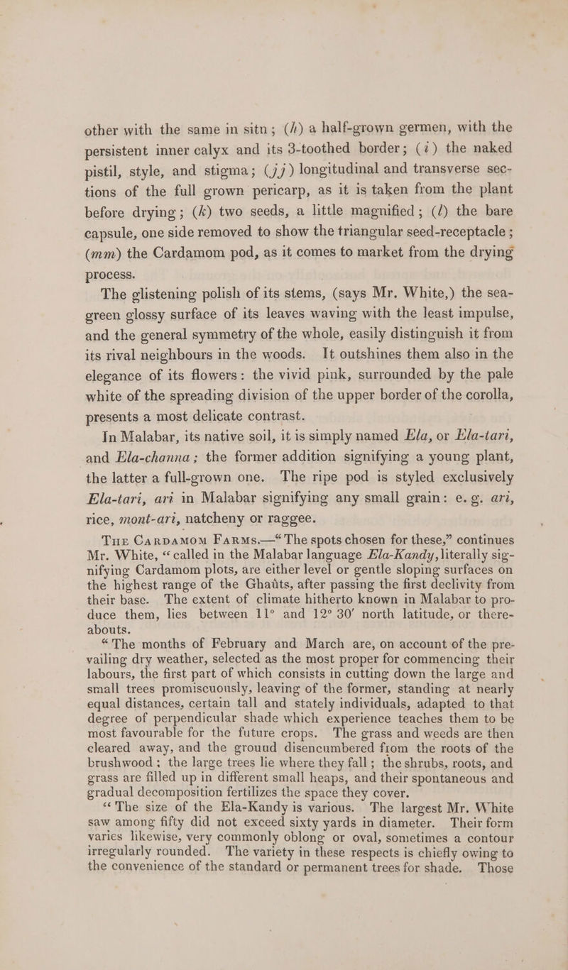 other with the same in sitn; (/) a half-grown germen, with the persistent inner calyx and its 3-toothed border; (7) the naked pistil, style, and stigma; (jj) longitudinal and transverse sec- tions of the full grown pericarp, as it is taken from the plant before drying; (k) two seeds, a little magnified; (/) the bare capsule, one side removed to show the triangular seed-receptacle ; (mm) the Cardamom pod, as it comes to market from the drying process. | The glistening polish of its stems, (says Mr. White,) the sea- green glossy surface of its leaves waving with the least impulse, and the general symmetry of the whole, easily distinguish it from its rival neighbours in the woods. It outshines them also in the elegance of its flowers: the vivid pink, surrounded by the pale white of the spreading division of the upper border of the corolla, presents a most delicate contrast. In Malabar, its native soil, it is simply named Eda, or Lda-tari, and Ela-channa ; the former addition signifying a young plant, the latter a full-grown one. The ripe pod is styled exclusively Ela-tari, ari in Malabar signifying any small grain: e.g. arz, rice, mont-ari, natcheny or raggee. Tue CarpamMom Farms.— The spots chosen for these,” continues Mr. White, “called in the Malabar language Ela-Kandy, literally sig- nifying Cardamom plots, are either level or gentle sloping surfaces on the highest range of the Ghaits, after passing the first declivity from their base. The extent of climate hitherto known in Malabar to pro- duce them, lies between 11° and 12° 30’ north latitude, or there- abouts. “The months of February and March are, on account of the pre- vailing dry weather, selected as the most proper for commencing their labours, the first part of which consists in cutting down the large and small trees promiscuously, leaving of the former, standing at nearly equal distances, certain tall and stately individuals, adapted to that degree of perpendicular shade which experience teaches them to be most favourable for the future crops. The grass and weeds are then cleared away, and the grouud disencumbered fiom the roots of the brushwood ; the large trees lie where they fall; the shrubs, roots, and grass are filled up in different small heaps, and their spontaneous and gradual decomposition fertilizes the space they cover. ““The size of the Ela-Kandy is various. The largest Mr. White saw among fifty did not exceed sixty yards in diameter. Their form varies likewise, very commonly oblong or oval, sometimes a contour irregularly rounded. The variety in these respects is chiefly owing to the convenience of the standard or permanent trees for shade. Those