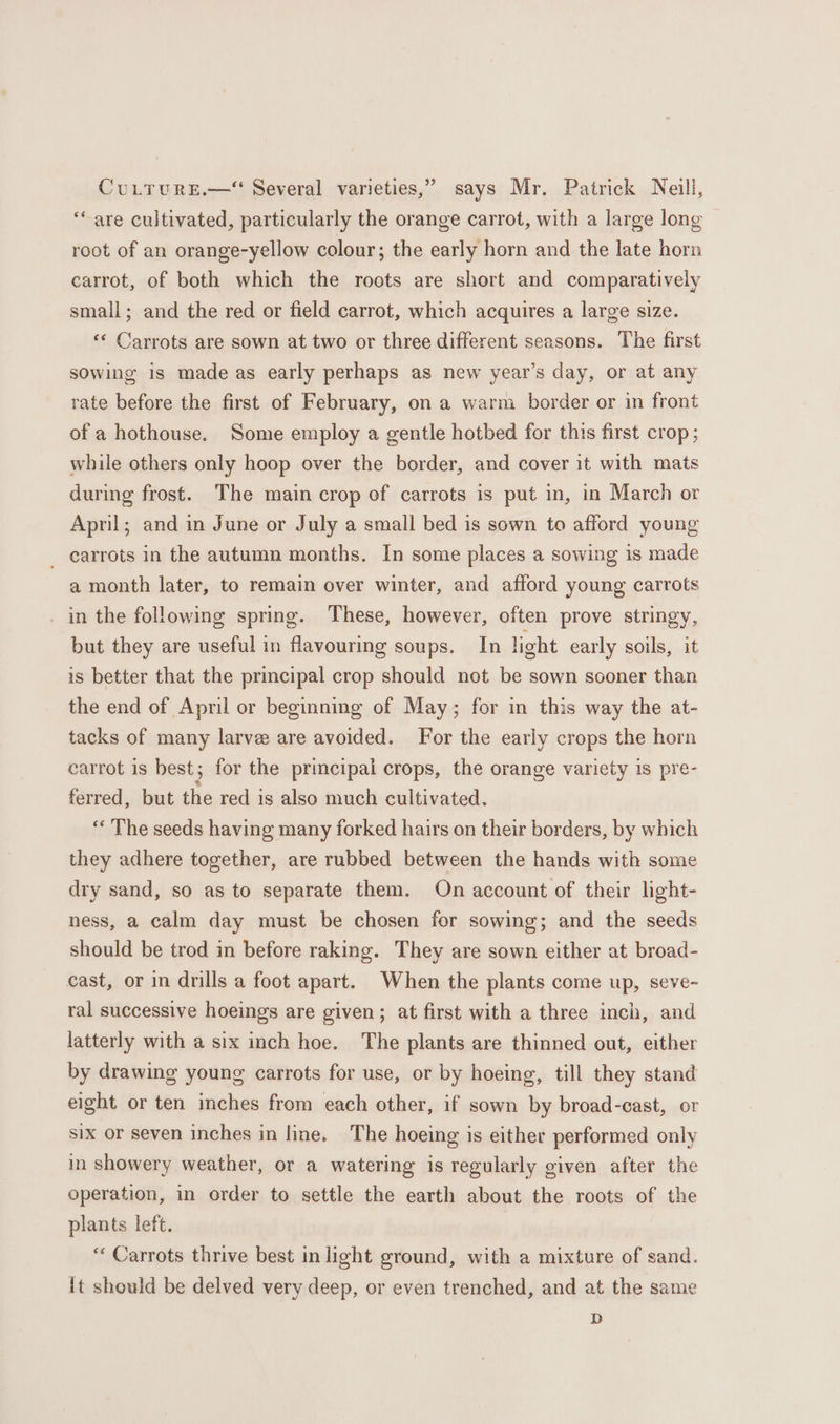 CuLTurE.—“ Several varieties,” says Mr. Patrick Neill, ‘“are cultivated, particularly the orange carrot, with a large long root of an orange-yellow colour; the early horn and the late horn carrot, of both which the roots are short and comparatively small; and the red or field carrot, which acquires a large size. « Carrots are sown at two or three different seasons. The first sowing is made as early perhaps as new year’s day, or at any rate before the first of February, on a warm border or in front of a hothouse. Some employ a gentle hotbed for this first crop; while others only hoop over the border, and cover it with mats during frost. The main crop of carrots is put in, in March or April; and in June or July a small bed is sown to afford young _ carrots in the autumn months. In some places a sowing is made a month later, to remain over winter, and afford young carrots in the following spring. These, however, often prove stringy, but they are useful in flavouring soups. In light early soils, it is better that the principal crop should not be sown sooner than the end of April or beginning of May; for in this way the at- tacks of many larve are avoided. For the early crops the horn carrot is best; for the principal crops, the orange variety is pre- ferred, but the red is also much cultivated. “ The seeds having many forked hairs on their borders, by which they adhere together, are rubbed between the hands with some dry sand, so as to separate them. On account of their light- ness, a calm day must be chosen for sowing; and the seeds should be trod in before raking. They are sown either at broad- cast, or in drills a foot apart. When the plants come up, seve- ral successive hoeings are given; at first with a three inch, and latterly with a six inch hoe. The plants are thinned out, either by drawing young carrots for use, or by hoeing, till they stand eight or ten inches from each other, if sown by broad-cast, or Six or seven inches in line, The hoeing is either performed only in showery weather, or a watering is regularly given after the operation, in order to settle the earth about the roots of the plants left. “ Carrots thrive best in light ground, with a mixture of sand. it should be delved very deep, or even trenched, and at the same D