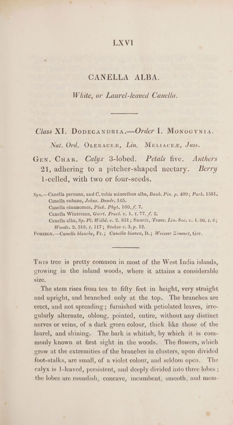 LXVI CANELLA ALBA. White, or Laurel-leaved Canella. Class XJ. Dopecanprta.—Order I. Monocynia. Nat. Ord. OuEracem, Lin. MeEwiaces, Juss. Gen. Cuar. Calyx 3-lobed. Petals five. Anthers 21, adhering to a pitcher-shaped nectary. Berry i-celled, with two or four-seeds. Syn.—Canella peruana, and C., tubis minoribus alba, Bauh. Pin. p. 409; Park. 1581. Canella cubane, Johns. Dendr. 165. Canella cinamomea, Pluk. Phyt. 160. f. 7. Canella Winterana, Gert. Fruct.v. 1. t. 77. f. 2. Canella alba, Sp. Pl. Willd. v. 2. 851; Swartz, Trans. Lin. Soc. v. 1.96. ¢. 8; Woodv. 2. 318. t. 117; Stokes v. 3. p. 12. FoREIGN.—Canelle blanche, Fr.; Canella bianca, It.; Weisser Zimmet, Ger. Tus tree 1s pretty common in most of the West India islands, srowing in the inland woods, where it attains a considerable size. The stem rises from ten to fifty feet in height, very straight and upright, and branched only at the top. The branches are erect, and not spreading ; furnished with petiolated leaves, irre- eularly alternate, oblong, pointed, entire, without any distinct nerves or veins, of a dark green colour, thick like those of the laurel, and shining. The bark is whitish, by which it 1s com- monly known at first sight in the woods. The flowers, which grow at the extremities of the branches in clusters, upon divided foot-stalks, are small, of a violet colour, and seldom open. The calyx is l-leaved, persistent, and deeply divided into three lobes ; the lobes are roundish, concave, incumbent, smooth, and mem-