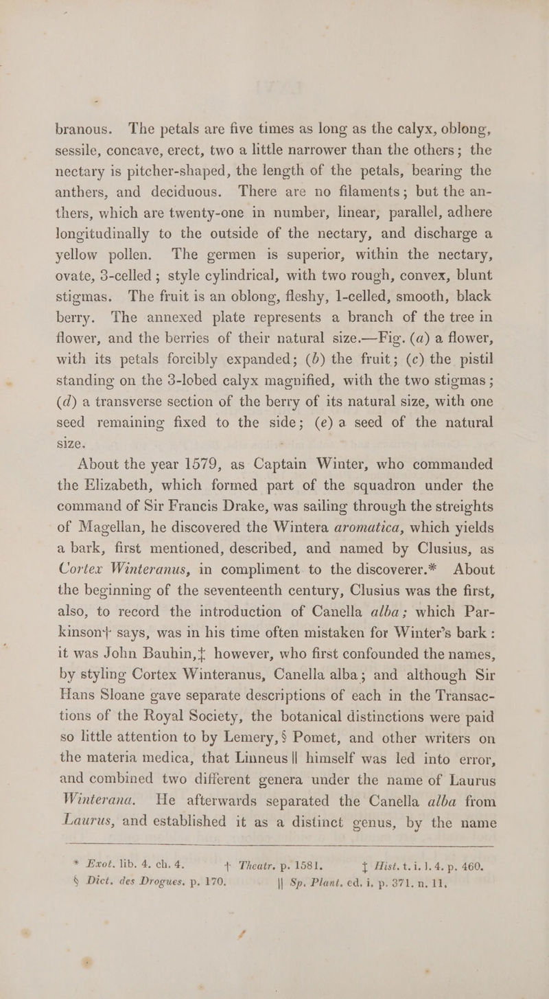 branous. The petals are five times as long as the calyx, oblong, sessile, concave, erect, two a little narrower than the others; the nectary is pitcher-shaped, the length of the petals, bearing the anthers, and deciduous. There are no filaments; but the an- thers, which are twenty-one ‘in number, linear, parallel, adhere longitudinally to the outside of the nectary, and discharge a yellow pollen. The germen is superior, within the nectary, ovate, 3-celled ; style cylindrical, with two rough, convex, blunt stigmas. The fruit is an oblong, fleshy, 1-celled, smooth, black berry. The annexed plate represents a branch of the tree in flower, and the berries of their natural size.—Fig. (a) a flower, with its petals forcibly expanded; (6) the fruit; (c) the pistil standing on the 3-lobed calyx magnified, with the two stigmas ; (d) a transverse section of the berry of its natural size, with one seed remaining fixed to the side; (e) a seed of the natural size. About the year 1579, as Captain Winter, who commanded the Elizabeth, which formed part of the squadron under the command of Sir Francis Drake, was sailing through the streights of Magellan, he discovered the Wintera aromatica, which yields a bark, first mentioned, described, and named by Clusius, as Cortex Winteranus, in compliment. to the discoverer.* About the beginning of the seventeenth century, Clusius was the first, also, to record the introduction of Canella alba; which Par- kinson+} says, was in his time often mistaken for Winter’s bark : it was John Bauhin,{ however, who first confounded the names, by styling Cortex Winteranus, Canella alba; and although Sir Hans Sloane gave separate descriptions of each in the Transac- tions of the Royal Society, the botanical distinctions were paid so little attention to by Lemery,§ Pomet, and other writers on the materia medica, that Linneus || himself was led into error, and combined two different genera under the name of Laurus Winterana. He afterwards separated the Canella alba from Laurus, and established it as a distinct genus, by the name * Eaot. lib. 4. ch. 4. + Theatr. p. 1581. {Hist t.1. 1.4. p. 460.