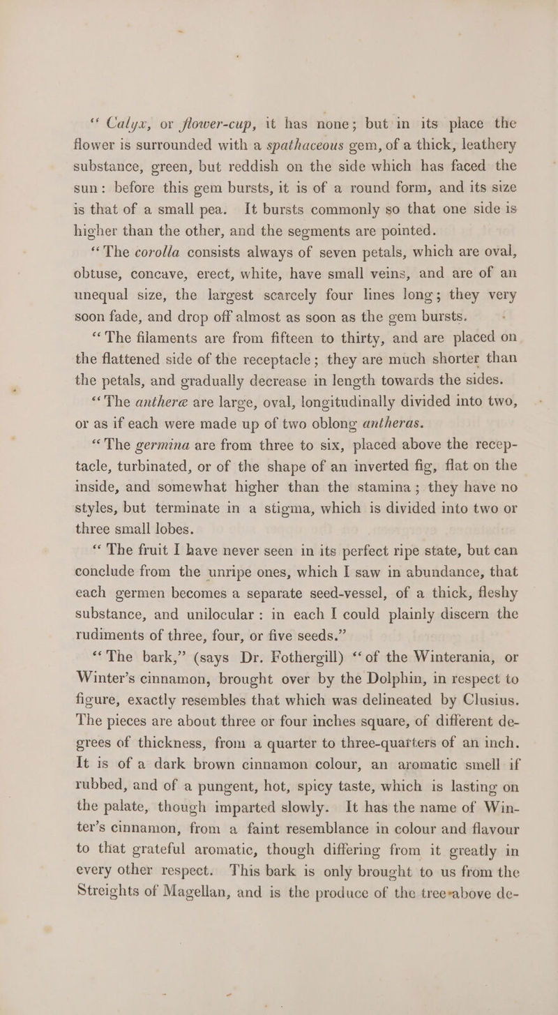 flower is surrounded with a spathaceous gem, of a thick, leathery substance, green, but reddish on the side which has faced the sun: before this gem bursts, it is of a round form, and its size is that of a small pea. It bursts commonly so that one side is higher than the other, and the segments are pointed. ‘The corolla consists always of seven petals, which are oval, obtuse, concave, erect, white, have small veins, and are of an unequal size, the largest scarcely four lines long; they very scon fade, and drop off almost as soon as the gem bursts. “‘The filaments are from fifteen to thirty, and are placed on the flattened side of the receptacle; they are much shorter than the petals, and gradually decrease in length towards the sides. “The anthere are large, oval, longitudinally divided into two, or as if each were made up of two oblong antheras. “The germina are from three to six, placed above the recep- tacle, turbinated, or of the shape of an inverted fig, flat on the inside, and somewhat higher than the stamina; they have no styles, but terminate in a stigma, which is divided into two or three small lobes. “The fruit I have never seen in its perfect ripe state, but can conclude from the unripe ones, which I saw in abundance, that each germen becomes a separate seed-vessel, of a thick, fleshy substance, and unilocular: in each I could plainly discern the rudiments of three, four, or five seeds.” *“The bark,” (says Dr. Fothergill) ‘‘of the Winterania, or Winter’s cinnamon, brought over by the Dolphin, in respect to figure, exactly resembles that which was delineated by Clusius. The pieces are about three or four inches square, of different de- grees of thickness, from a quarter to three-quarters of an inch. It is of a dark brown cinnamon colour, an aromatic smell if rubbed, and of a pungent, hot, spicy taste, which is lasting on the palate, though imparted slowly. It has the name of Win- ter’s cinnamon, from a faint resemblance in colour and flavour to that grateful aromatic, though differing from it greatly in every other respect. This bark is only brought to us from the Streights of Magellan, and is the produce of the treerabove de-