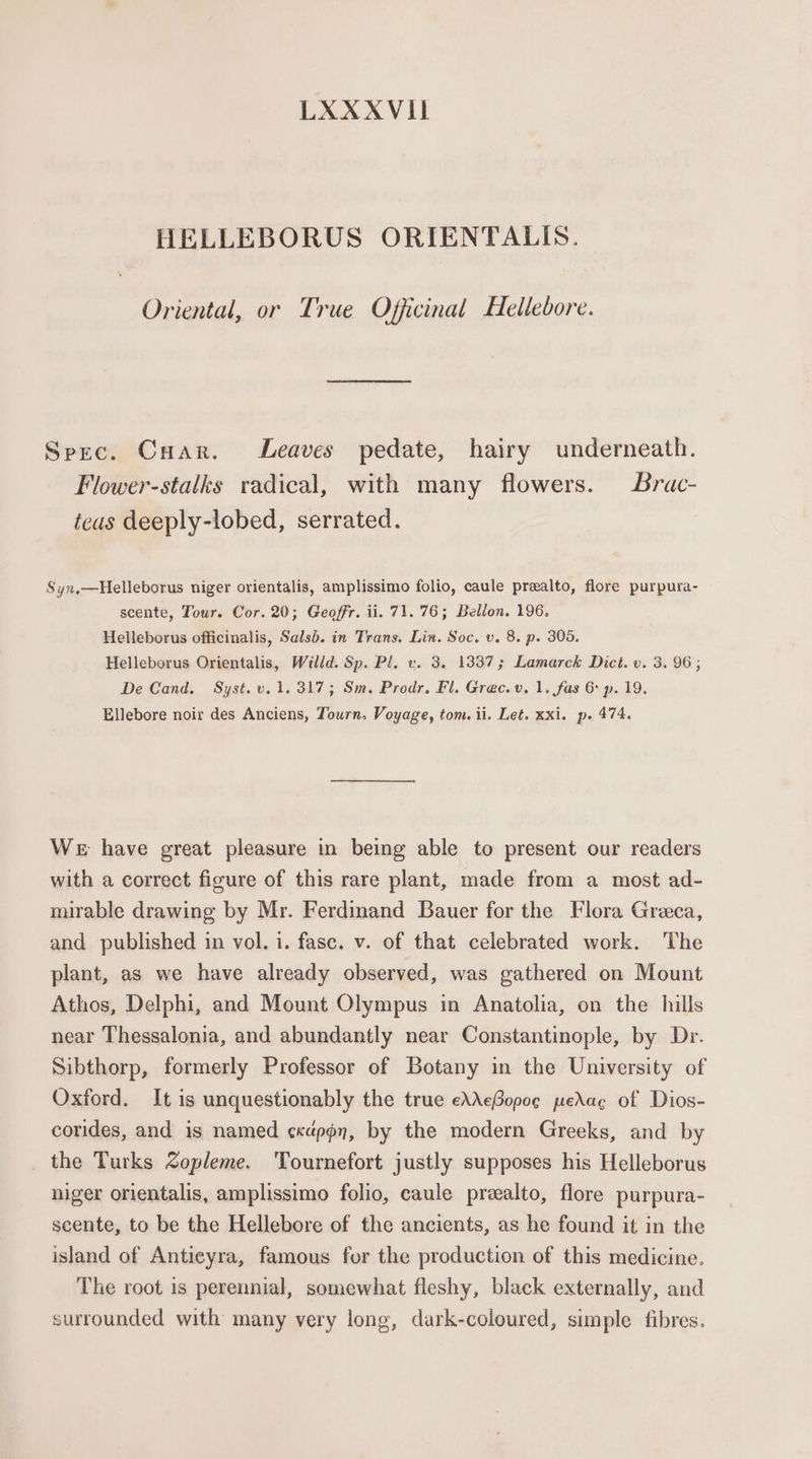 LXXXVII HELLEBORUS ORIENTALIS. Oriental, or True Officinal Hellebore. Spec. Cuoar. Leaves pedate, hairy underneath. Flower-stalks radical, with many flowers. Brac- teus deeply-lobed, serrated. Syn.—Helleborus niger orientalis, amplissimo folio, caule prealto, flore purpura- scente, Tour. Cor. 20; Geoffr. ii. 71.76; Bellon. 196. Helleborus officinalis, Salsb. in Trans. Lin. Soc. v. 8. p. 305. Helleborus Orientalis, Willd. Sp. Pl. v. 3. 1337; Lamarck Dict. v. 3. 96 ; De Cand. Syst. v. 1.317; Sm. Prodr. Fl. Grec.v. 1. fas 6 p. 19. Ellebore noir des Anciens, Tourn, Voyage, tom. il. Let. xxi. p. 474. We have great pleasure in being able to present our readers with a correct figure of this rare plant, made from a most ad- mirable drawing by Mr. Ferdinand Bauer for the Flora Greeca, and published in vol. i. fasc. v. of that celebrated work. The plant, as we have already observed, was gathered on Mount Athos, Delphi, and Mount Olympus in Anatolia, on the hills near Thessalonia, and abundantly near Constantinople, by Dr. Sibthorp, formerly Professor of Botany in the University of Oxford. It is unquestionably the true eddeBopog preAac of Dios- corides, and is named cxdpgn, by the modern Greeks, and by _ the Turks Zopleme. Tournefort justly supposes his Helleborus niger orientalis, amplissimo folio, caule prealto, flore purpura- scente, to be the Hellebore of the ancients, as he found it in the island of Antieyra, famous for the production of this medicine. The root is perennial, somewhat fleshy, black externally, and surrounded with many very long, dark-coloured, simple fibres.