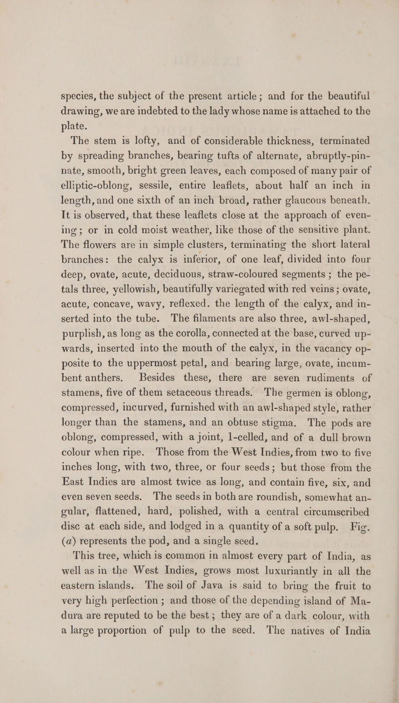 species, the subject of the present article; and for the beautiful drawing, we are indebted to the lady whose name is attached to the plate. The stem is lofty, and of considerable thickness, terminated by spreading branches, bearing tufts of alternate, abruptly-pin- nate, smooth, bright green leaves, each composed of many pair of elliptic-oblong, sessile, entire leaflets, about half an inch in length, and one sixth of an inch broad, rather glaucous beneath. It is observed, that these leaflets close at the approach of even- ing; or in cold moist weather, like those of the sensitive plant. The flowers are in simple clusters, terminating the short lateral branches: the calyx is inferior, of one leaf, divided into four deep, ovate, acute, deciduous, straw-coloured segments ; the pe- tals three, yellowish, beautifully variegated with red veins ; ovate, acute, concave, wavy, reflexed. the length of the calyx, and in- serted into the tube. The filaments are also three, awl-shaped, purplish, as long as the corolla, connected at the base, curved up- wards, inserted into the mouth of the calyx, in the vacancy op- posite to the uppermost petal, and bearing large, ovate, incum- bent anthers. Besides these, there are seven rudiments of stamens, five of them setaceous threads. The germen is oblong, compressed, incurved, furnished with an awl-shaped style, rather longer than the stamens, and an obtuse stigma. The pods are oblong, compressed, with a joint, l-celled, and of a dull brown colour when ripe. Those from the West Indies, from two to five inches long, with two, three, or four seeds; but those from the East Indies are almost twice as long, and contain five, six, and even seven seeds, The seeds in both are roundish, somewhat an- gular, flattened, hard, polished, with a central circumscribed disc at each side, and lodged in a quantity of a soft pulp. Fig. (a) represents the pod, and a single seed. This tree, which is common in almost every part of India, as well as in the West Indies, grows most luxuriantly in all the eastern islands. The soil of Java is said to bring the fruit to very high perfection ; and those of the depending island of Ma- dura are reputed to be the best; they are of a dark colour, with a large proportion of pulp to the seed. The natives of India