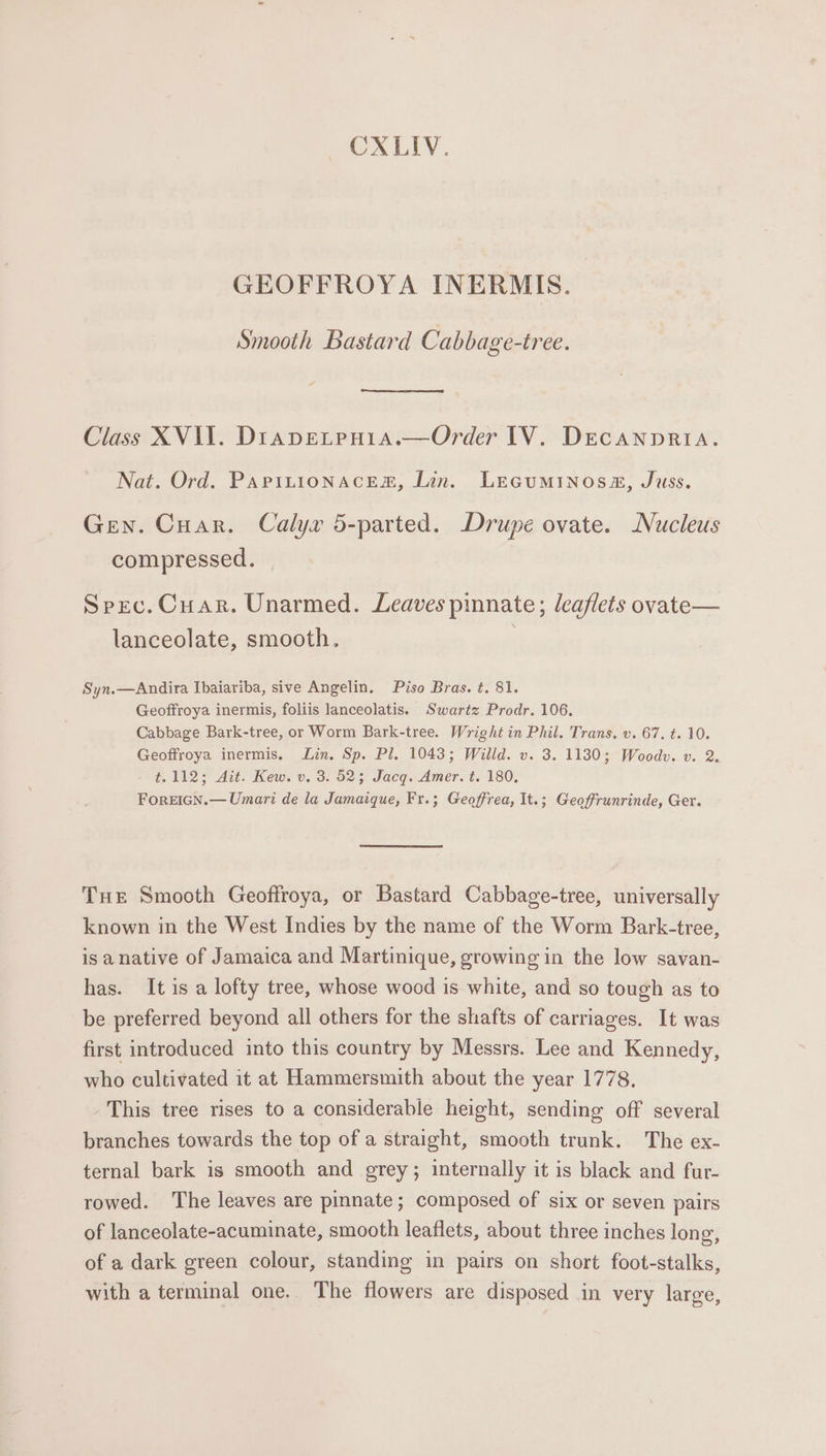 CXLIV. GEOFFROYA INERMIS. Smooth Bastard Cabbage-tree. Class XVII. DiapELeHia.—Order TV. DEcCANDRIA. Nat. Ord. PapitLtionacem, Lin. Liecuminosa#, Juss. Gen. Cuar. Calyx 5-parted. Drupe ovate. Nucleus compressed. Spec. Cuar. Unarmed. Leaves pinnate; leaflets ovate— lanceolate, smooth. ) Syn.—Andira Ibaiariba, sive Angelin. Piso Bras. t. 81. Geoffroya inermis, foliis lanceolatis. Swartz Prodr. 106, Cabbage Bark-tree, or Worm Bark-tree. Wright in Phil. Trans. v. 67. t. 10. Geoffroya inermis. Lin. Sp. Pl. 1043; Willd. v. 3. 1130; Woodv. v. 2. #,112; Ait. Kew. v. 3. 52; Jacq. Amer. t. 180, ForEIGN.— Umari de la Jamaique, Fr.; Geoffrea, It.; Geoffrunrinde, Ger. Tue Smooth Geoffroya, or Bastard Cabbage-tree, universally known in the West Indies by the name of the Worm Bark-tree, is anative of Jamaica and Martinique, growing in the low savan- has. It is a lofty tree, whose wood is white, and so tough as to be preferred beyond all others for the shafts of carriages. It was first introduced into this country by Messrs. Lee and Kennedy, who cultivated it at Hammersmith about the year 1778. This tree rises to a considerable height, sending off several branches towards the top of a straight, smooth trunk. The ex- ternal bark is smooth and grey; internally it is black and fur- rowed. The leaves are pinnate; composed of six or seven pairs of lanceolate-acuminate, smooth leaflets, about three inches long, of a dark green colour, standing in pairs on short foot-stalks, with a terminal one. The flowers are disposed in very large,