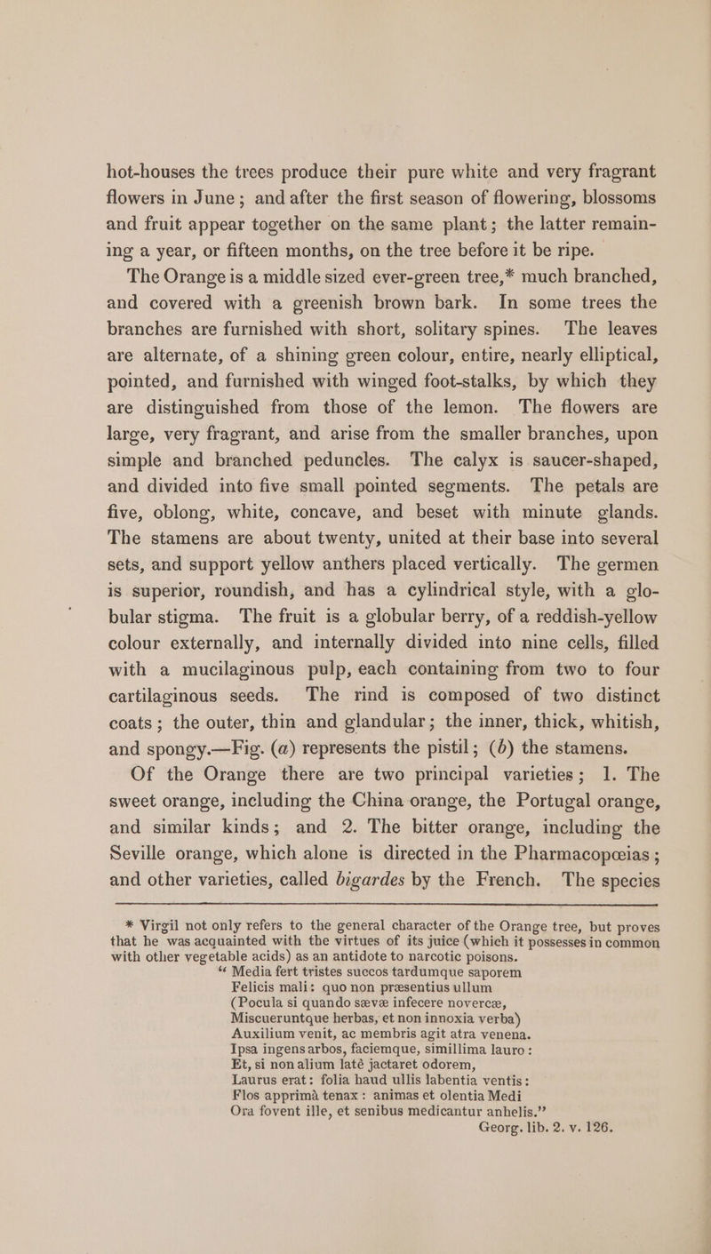 hot-houses the trees produce their pure white and very fragrant flowers in June; and after the first season of flowering, blossoms and fruit appear together on the same plant; the latter remain- ing a year, or fifteen months, on the tree before it be ripe. The Orange is a middle sized ever-green tree,* much branched, and covered with a greenish brown bark. In some trees the branches are furnished with short, solitary spines. The leaves are alternate, of a shining green colour, entire, nearly elliptical, pointed, and furnished with winged foot-stalks, by which they are distinguished from those of the lemon. The flowers are large, very fragrant, and arise from the smaller branches, upon simple and branched peduncles. The calyx is saucer-shaped, and divided into five small pointed segments. The petals are five, oblong, white, concave, and beset with minute glands. The stamens are about twenty, united at their base into several sets, and support yellow anthers placed vertically. The germen is superior, roundish, and has a cylindrical style, with a glo- bular stigma. The fruit is a globular berry, of a reddish-yellow colour externally, and internally divided into nine cells, filled with a mucilaginous pulp, each containing from two to four cartilaginous seeds. The rind is composed of two distinct coats; the outer, thin and glandular; the inner, thick, whitish, and spongy.—Fig. (a) represents the pistil; (6) the stamens. Of the Orange there are two principal varieties; 1. The sweet orange, including the China orange, the Portugal orange, and similar kinds; and 2. The bitter orange, including the Seville orange, which alone is directed in the Pharmacopceias ; and other varieties, called bigardes by the French. The species * Virgil not only refers to the general character of the Orange tree, but proves that he was acquainted with the virtues of its juice (which it possesses in common with other vegetable acids) as an antidote to narcotic poisons. “« Media fert tristes succos tardumque saporem Felicis mali: quo non presentius ullum (Pocula si quando seve infecere noverce, Miscueruntque herbas, et non innoxia verba) Auxilium venit, ac membris agit atra venena. Ipsa ingens arbos, faciemque, simillima lauro: Et, si non alium lJaté jactaret odorem, Laurus erat: folia haud ullis labentia ventis: Flos apprima tenax: animas et olentia Medi Ora fovent ille, et senibus medicantur anhelis.” Georg. lib. 2. v. 126.