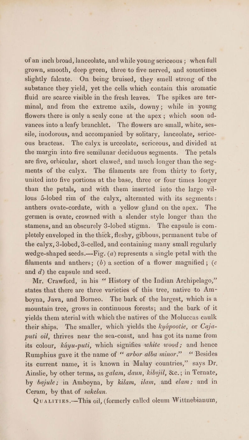 of an inch broad, lanceolate, and while young sericeous ; when full grown, smooth, deep green, three to five nerved, and sometimes slightly faleate. On being bruised, they smell strong of the substance they yield, yet the cells which contain this aromatic fluid are scarce visible in the fresh leaves. The spikes are ter- minal, and from the extreme axils, downy; while in young flowers there is only a scaly cone at the apex; which soon ad- vances into a leafy branchlet. The flowers are small, white, ses- sile, inodorous, and accompanied by solitary, lanceolate, serice- ous bracteas. The calyx is urceolate, sericeous, and divided at the margin into five semilunar deciduous segments. The petals are five, orbicular, short clawed, and much longer than the seg- ments of the calyx. The filaments are from thirty to forty, united into five portions at the base, three or four times longer than the petals, and with them inserted into the large vil- lous 5-lobed rim of the calyx, alternated with its segments: anthers ovate-cordate, with a yellow gland on the apex. The germen is ovate, crowned with a slender style longer than the stamens, and an obscurely 3-lobed stigma. The capsule is com- pletely enveloped in the thick, fleshy, gibbous, permanent tube of the calyx, 3-lobed, 3-celled, and containing many small regularly wedge-shaped seeds.—Fig. (a) represents a single petal with the filaments and anthers; (0) a section of a flower magnified ; (c and d) the capsule and seed. Mr. Crawford, in his ‘‘ History of the Indian Archipelago,” states that there are three varieties of this tree, native to Am- boyna, Java, and Borneo. The bark of the largest, which is a mountain tree, grows in continuous forests; and the bark of it yields them aterial with which the natives of the Moluccas caulk their ships. The smaller, which yields the kya@pootie, or Caja- puti oil, thrives near the sea-coast, and has got its name from its colour, kayu-puti, which signifies white wood; and hence Rumphius gave it the name of “ arbor alba minor.” “ Besides its current name, it is known in Malay countries,” says Dr. Ainslie, by other terms, as galam, daun, kibsjil, &amp;c.; in Ternate, by bajule; in Amboyna, by kilam, ilam, and elam; and in Ceram, by that of sakelan. Quauirizes.—This oil, (formerly called oleam Wittnebianum,