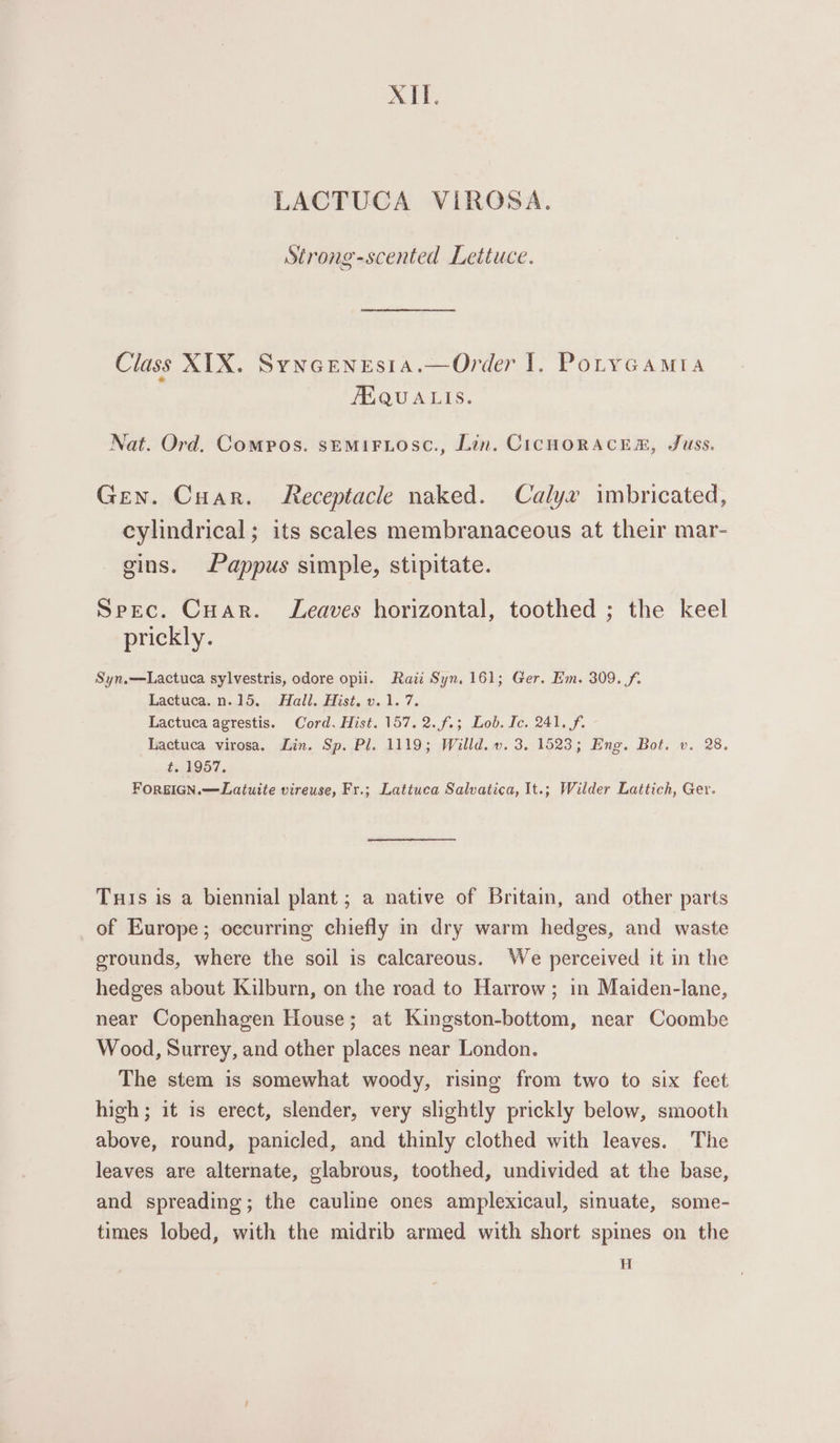 NIT. LACTUCA ViROSA. Strong-scented Lettuce. Class XIX. Syncenesia.—Order I. PotyGamtia AB QUALIS. Nat. Ord. Comros. semiriosc., Lin. CICHORACER, Juss. Gen. Cuar. Receptacle naked. Calyx imbricated, cylindrical; its scales membranaceous at their mar- gins. Pappus simple, stipitate. Spec. Cuar. Leaves horizontal, toothed ; the keel prickly. Syn,—Lactuca sylvestris, odore opii. Raitt Syn, 161; Ger. Em. 309. f. Lactuca.n.15. Hall. Hist. v.1. 7. Lactuca agrestis. Cord. Hist. 157.2. f.; Lob. Ic. 241. f. Lactuca virosa. Lin. Sp. Pl. 1119; Willd. ». 3. 1523; Eng. Bot. v. 28. t. 1957. FOREIGN.—Latuite vireuse, Fr.; Lattuca Salvatica, It.; Wilder Lattich, Ger. Tus is a biennial plant ; a native of Britain, and other parts of Europe; occurring chiefly in dry warm hedges, and waste grounds, where the soil is calcareous. We perceived it in the hedges about Kilburn, on the road to Harrow; in Maiden-lane, near Copenhagen House; at Kingston-bottom, near Coombe Wood, Surrey, and other places near London. The stem is somewhat woody, rising from two to six feet high; it is erect, slender, very slightly prickly below, smooth above, round, panicled, and thinly clothed with leaves. The leaves are alternate, glabrous, toothed, undivided at the base, and spreading; the cauline ones amplexicaul, sinuate, some- times lobed, with the midrib armed with short spines on the H