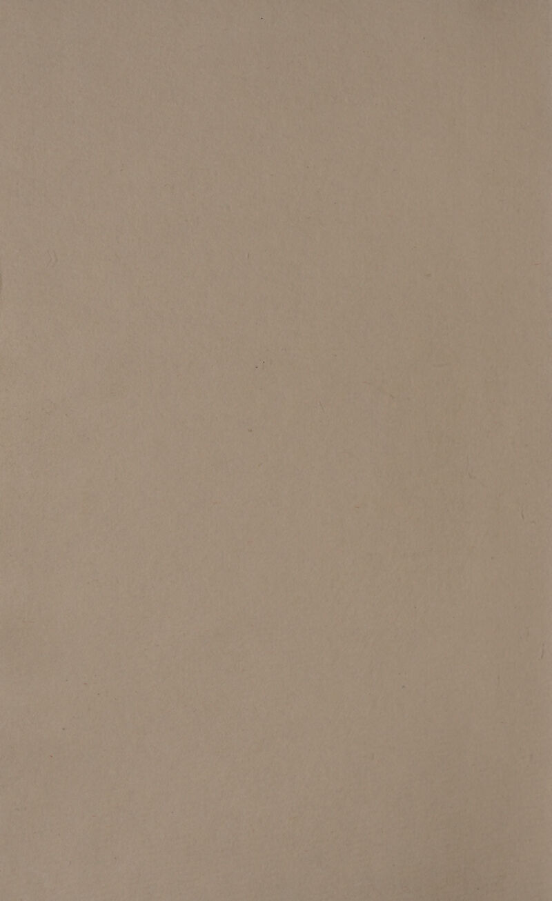 i 4 is HY ee Lae S09 ce Loh 4 ra pe ee bt ‘etl ee Lae, #i bs Sen: