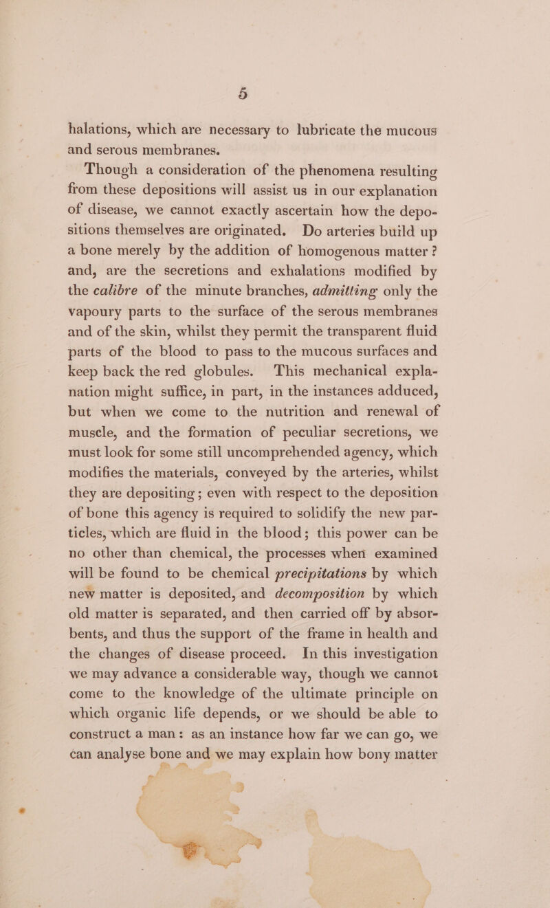 halations, which are necessary to lubricate the mucous and serous membranes. Though a consideration of the phenomena resulting from these depositions will assist us in our explanation of disease, we cannot exactly ascertain how the depo- sitions themselves are originated. Do arteries build up a bone merely by the addition of homogenous matter ? and, are the secretions and exhalations modified by the calibre of the minute branches, admitting only the vapoury parts to the surface of the serous membranes and of the skin, whilst they permit the transparent fluid parts of the blood to pass to the mucous surfaces and keep back the red globules. This mechanical expla- nation might suffice, in part, in the instances adduced, but when we come to the nutrition and renewal of muscle, and the formation of peculiar secretions, we must look for some still uncomprehended agency, which modifies the materials, conveyed by the arteries, whilst they are depositing ; even with respect to the deposition of bone this agency is required to solidify the new par- ticles, which are fluid in the blood; this power can be no other than chemical, the processes when examined will be found to be chemical precipitations by which new matter is deposited, and decomposition by which old matter is separated, and then carried off by absor- bents, and thus the support of the frame in health and the changes of disease proceed. In this investigation we may advance a considerable way, though we cannot come to the knowledge of the ultimate principle on which organic life depends, or we should be able to construct a man: as an instance how far we can go, we can analyse bone and we may explain how bony matter o_O cad bis € a By > sas eae