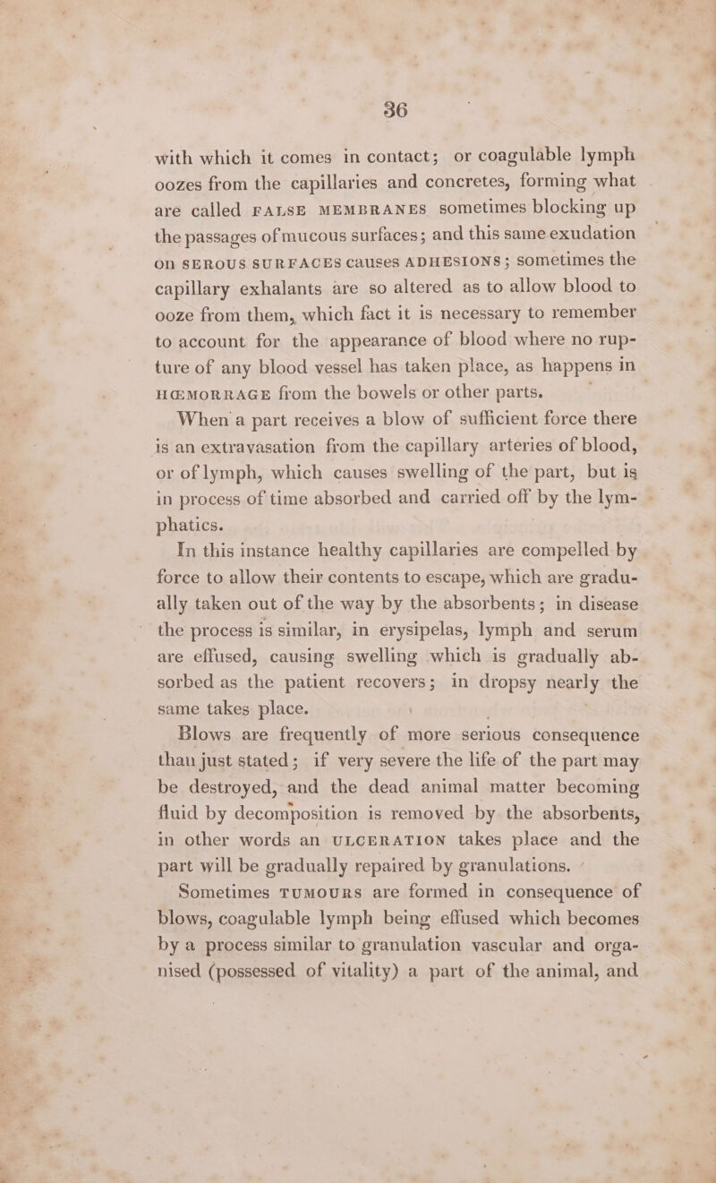 with which it comes in contact; or coagulable lymph oozes from the capillaries and concretes, forming what are called FALSE MEMBRANES sometimes blocking up the passages of mucous surfaces ; and this same exudation On SEROUS SURFACES causes ADHESIONS; sometimes the capillary exhalants are so altered as to allow blood to ooze from them, which fact it is necessary to remember to account for the appearance of blood where no rup- ture of any blood vessel has taken place, as happens 1 in HGMORRAGE from the bowels or other parts. | When a part receives a blow of sufficient force there is an extravasation from the capillary arteries of blood, or of lymph, which causes swelling of the part, but is in process of time absorbed and carried off by the lym- - phatics. In this instance healthy capillaries are compelled by force to allow their contents to escape, which are gradu- ally taken out of the way by the absorbents; in disease the process is similar, in erysipelas, lymph and serum are effused, causing swelling which is gradually ab- sorbed as the patient recovers; in dropsy nearly the same takes place. Blows are frequently of more serious consequence than just stated; if very severe the life of the part may be destroyed, and the dead animal matter becoming fluid by decomposition is removed by the absorbents, in other words an ULCERATION takes place and the _ part will be gradually repaired by granulations. - Sometimes Tumours are formed in consequence of blows, coagulable lymph being effused which becomes by a process similar to granulation vascular and orga- nised (possessed of vitality) a part of the animal, and