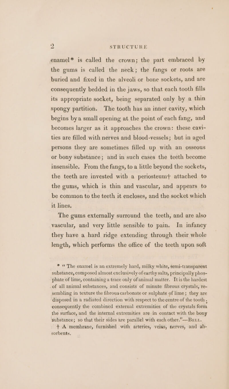 enamel* is called the crown; the part embraced by the gums is called the neck; the fangs or roots are buried and fixed in the alveoli or bone sockets, and are consequently bedded in the jaws, so that each tooth fills its appropriate socket, being separated only by a thin spongy partition. The tooth has an inner cavity, which begins bya small opening at the point of each fang, and becomes larger as it approaches the crown: these cavi- ties are filled with nerves and blood-vessels; but in aged persons they are sometimes filled up with an osseous or bony substance; and in such cases the teeth become insensible. From the fangs, to a little beyond the sockets, the teeth are invested with a periosteum} attached to the gums, which is thin and vascular, and appears to be common to the teeth it encloses, and the socket which it lines. The gums externally surround the teeth, and are also vascular, and very little sensible to pain. In infancy they have a hard ridge extending through their whole length, which performs the office of the teeth upon soft * « The enamel is an extremely hard, milky white, semi-transparent substance, composed almost exclusively of earthy salts, principally phos- phate of lime, containing a trace only ofanimal matter. It is the hardest of all animal substances, and consists of minute fibrous crystals, re- sembling in texture the fibrous carbonate or sulphate of lime; they are disposed in a radiated direction with respect to the centre of the tooth , consequently the combined external extremities of the crystals form the surface, and the internal extremities are in contact with the bony substance; so that their sides are parallel with each other.”—Be tt. + A membrane, furnished with arteries, veins, nerves, and ab- sorbents.
