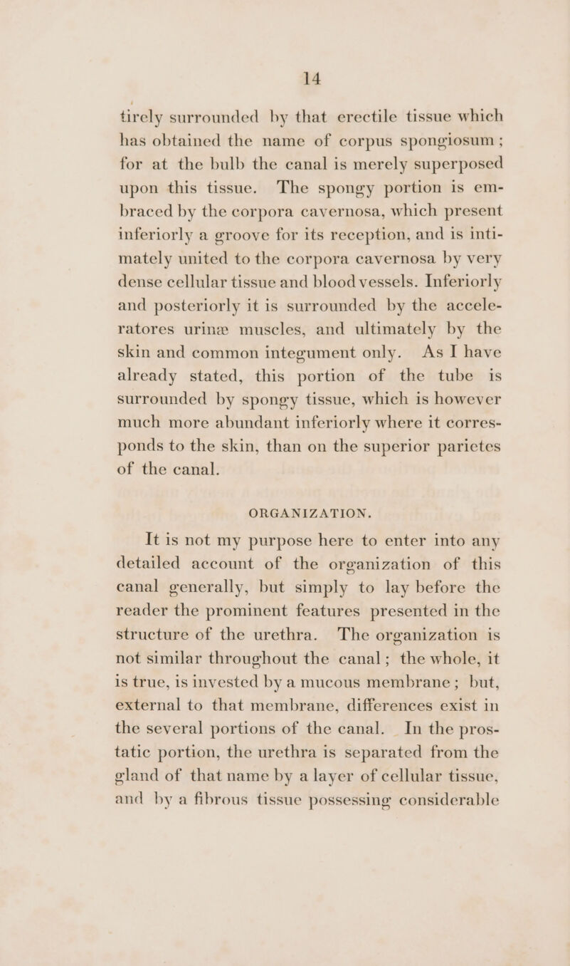 tirely surrounded by that erectile tissue which has obtained the name of corpus spongiosum ; for at the bulb the canal is merely superposed upon this tissue. The spongy portion is em- braced by the corpora cavernosa, which present inferiorly a groove for its reception, and is inti- mately united to the corpora cavernosa by very dense cellular tissue and blood vessels. Inferiorly and posteriorly it is surrounded by the accele- ratores urine muscles, and ultimately by the skin and common integument only. As I have already stated, this portion of the tube is surrounded by spongy tissue, which is however much more abundant inferiorly where it corres- ponds to the skin, than on the superior parietes of the canal. ORGANIZATION. It is not my purpose here to enter into any detailed account of the organization of this canal generally, but simply to lay before the reader the prominent features presented in the structure of the urethra. The organization is not similar throughout the canal; the whole, it is true, is invested by a mucous membrane ; but, external to that membrane, differences exist in the several portions of the canal. In the pros- tatic portion, the urethra is separated from the eland of that name by a layer of cellular tissue, and by a fibrous tissue possessing considerable