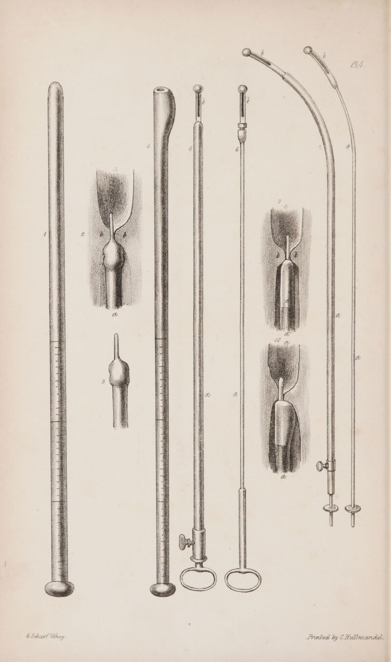 3 Fronted. by C Hullmoandd: