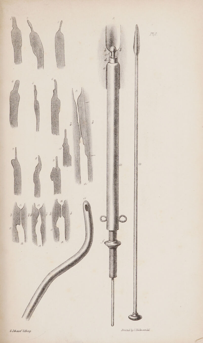 TE (pancievamndiaaiia SRceesnresncecateceeretees ASG eric seep Res eee oe Ie een BL aaa TET Ungapaae oe