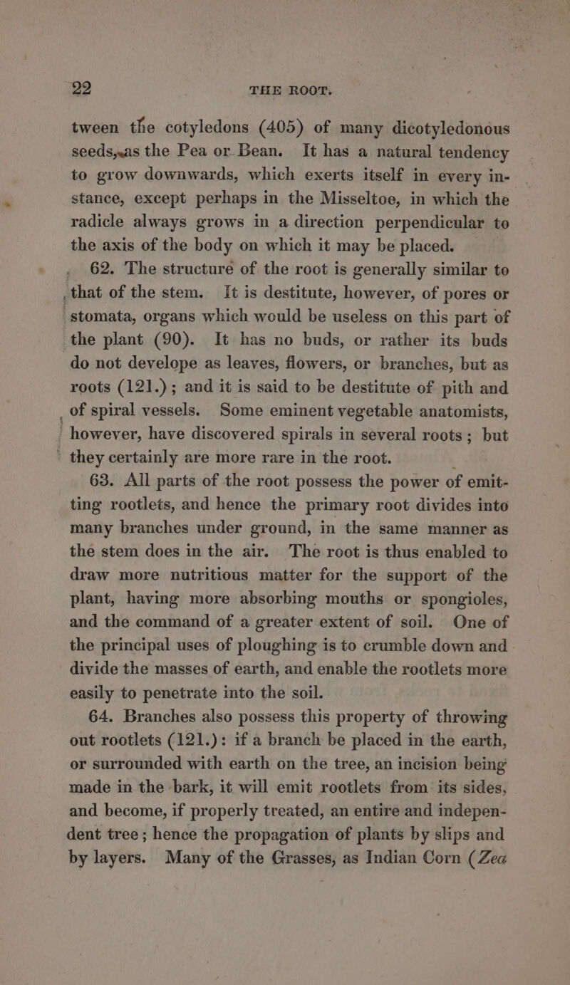 tween the cotyledons (405) of many dicotyledonous seeds,«as the Pea or Bean. It has a natural tendency to grow downwards, which exerts itself in every in- stance, except perhaps in the Misseltoe, in which the radicle always grows in a direction perpendicular to the axis of the body on which it may be placed. , 62. The structure of the root is generally similar to .that of the stem. It is destitute, however, of pores or stomata, organs which would be useless on this part of the plant (90). It has no buds, or rather its buds do not develope as leaves, flowers, or branches, but as roots (121.); and it is said to be destitute of pith and _ of spiral vessels. Some eminent vegetable anatomists, however, have discovered spirals in several roots; but ' they certainly are more rare in the root. : 63. All parts of the root possess the power of emit- ting rootlets, and hence the primary root divides into many branches under ground, in the same manner as the stem does in the air. The root is thus enabled to draw more nutritious matter for the support of the plant, having more absorbing mouths or spongioles, and the command of a greater extent of soil. One of the principal uses of ploughing is to crumble down and divide the masses of earth, and enable the rootlets more easily to penetrate into the soil. 64. Branches also possess this property of throwing out rootlets (121.): if a branch be placed in the earth, or surrounded with earth on the tree, an incision being made in the bark, it will emit rootlets from its sides, and become, if properly treated, an entire and indepen- dent tree ; hence the propagation of plants by slips and by layers. Many of the Grasses, as Indian Corn (Zea