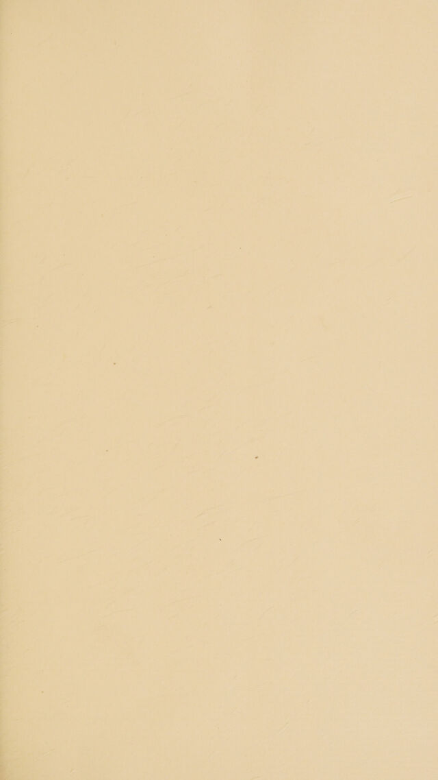 digitised image 3