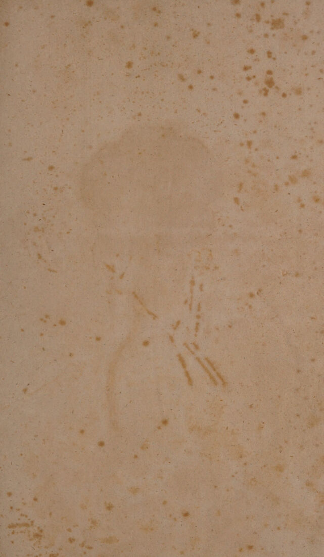 No text description is available for this image