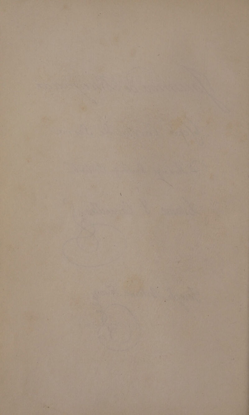 ; ier) § ; * 7 ; lane ens = wae oe oe ar a ae - 4 I p et 4 * 7 “a , Fi Bf aha! 54 t fe : a 4 d ‘ mia 4 He Pa ‘NS el ji ye” a wis Serre ae be 44 Ay “a