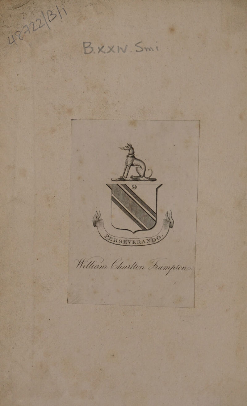 LOLLY Cp + Meine fiallan gon WUOW2.| .