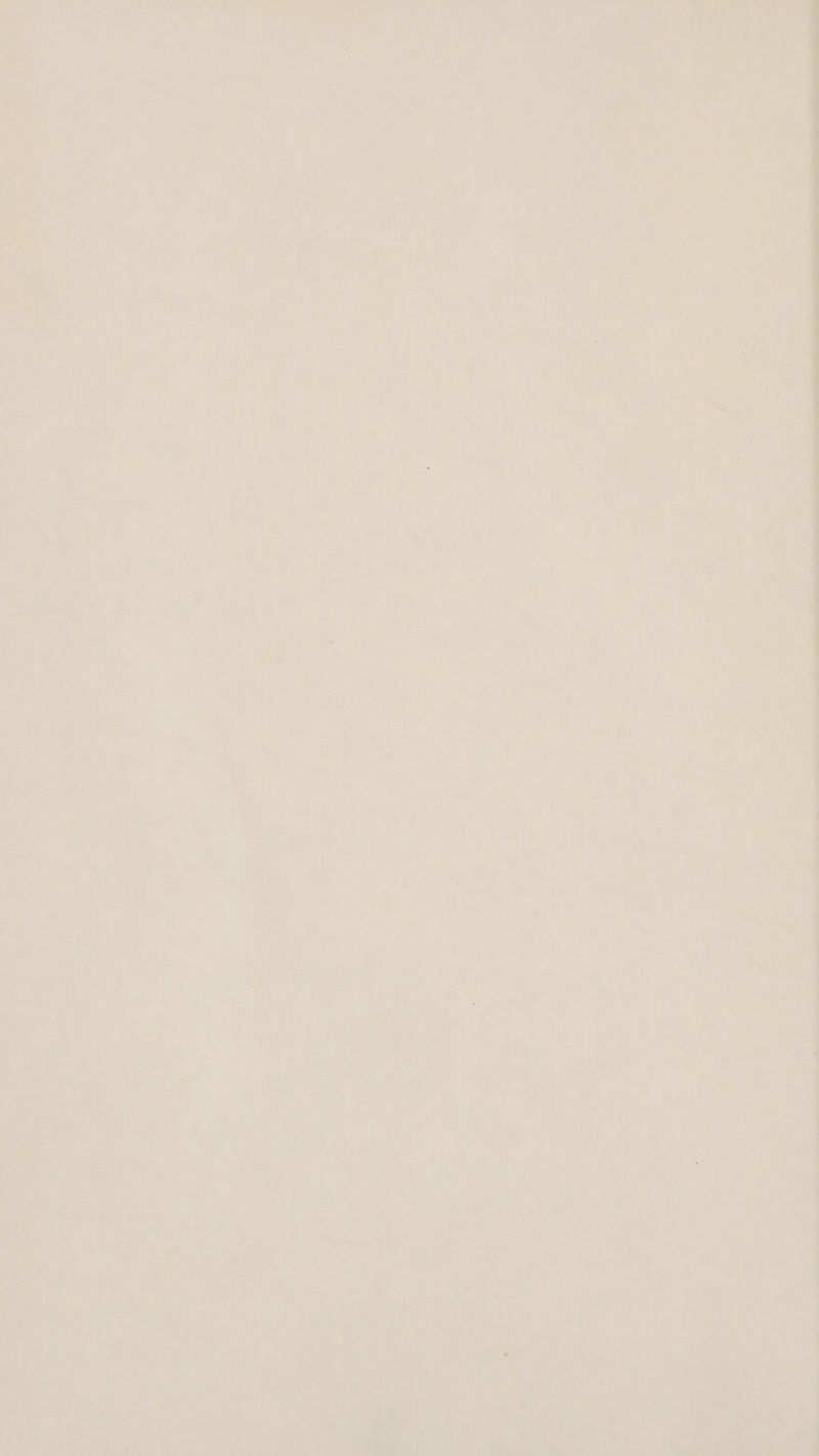 Bo eae Ne eth ae soy oP cs WL .