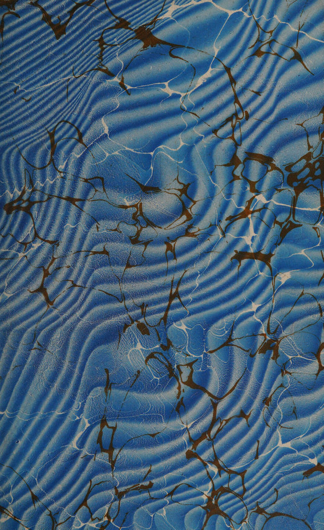 No text description is available for this image