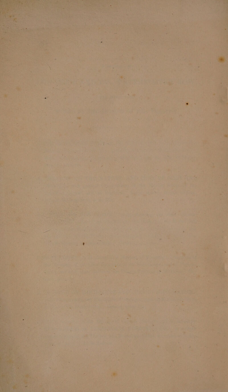 2 eh, «, hy Maca ie