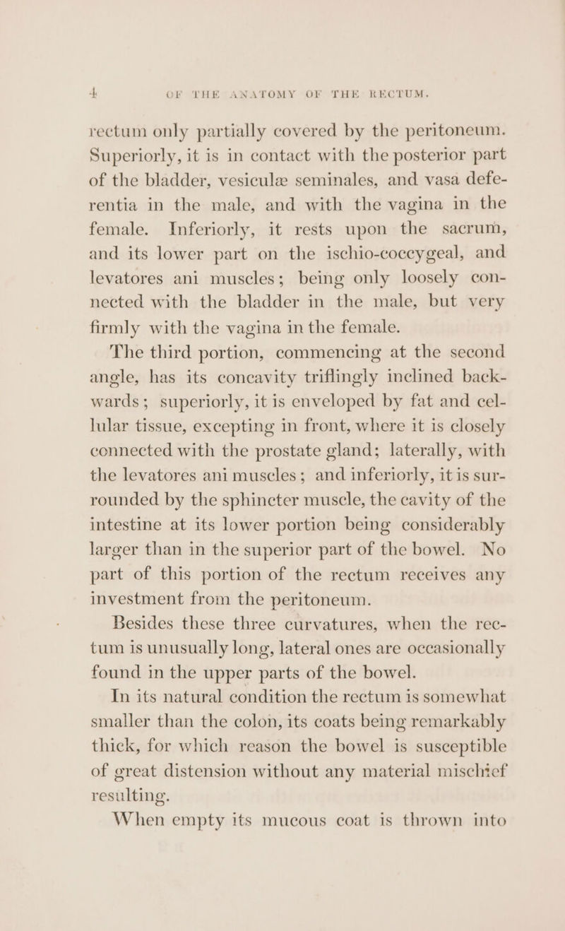 rectum only partially covered by the peritoneum. Superiorly, it is in contact with the posterior part of the bladder, vesiculz seminales, and vasa defe- rentia in the male, and with the vagina in the female. Inferiorly, it rests upon the sacrum, and its lower part on the ischio-coccygeal, and levatores ani muscles; being only loosely con- nected with the bladder in the male, but very firmly with the vagina in the female. The third portion, commencing at the second angle, has its concavity triflingly inclined back- wards; superiorly, it is enveloped by fat and cel- lular tissue, excepting in front, where it is closely connected with the prostate gland; laterally, with the levatores ani muscles; and inferiorly, it is sur- rounded by the sphincter muscle, the cavity of the intestine at its lower portion being considerably larger than in the superior part of the bowel. No part of this portion of the rectum receives any investment from the peritoneum. Besides these three curvatures, when the rec- tum is unusually long, lateral ones are occasionally found in the upper parts of the bowel. In its natural condition the rectum is somewhat smaller than the colon, its coats being remarkably thick, for which reason the bowel is susceptible of great distension without any material mischief resulting. When empty its mucous coat is thrown into