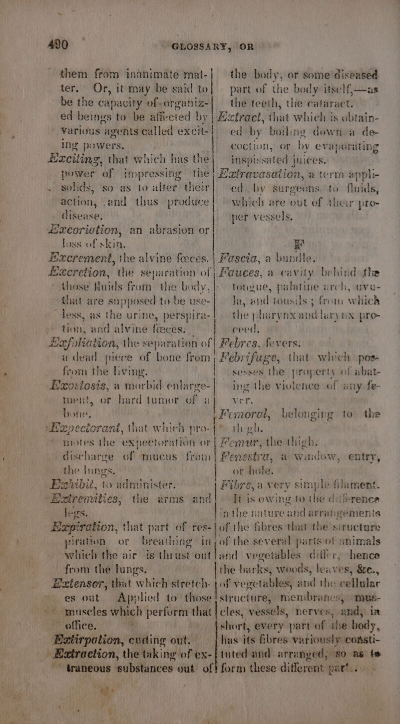 them from inanimate mat-| the body, or some diseased ter. Or, it may be said to} — part of the body itself,—as be the capacity ofverganiz-| the teeth, the cataract. } ed beings to be aff-cied by | &amp;ztract, that which is obtain- | Various agents called excit-! ed by boiling down a de- Ing powers. . coction, or by evaporating Exciting, that which has a} fdispissated'| juices. power of impressing the) Eatravasation, aterm apple + Solids, so as to alter their] ed by surgeons, to. fluids, action, .and thus produce | which are out of their pro- disease. | per vessels. excoriation, an abrasion or loss of skin, | ey Excrement, the alvine feeces. | Fascia, a bundle. Hecretion, the separation of | Fauces, a cavity bebind the Ahose Huids from the body, tongue, palatine arch, uva- that are supposed to be use- | Ja, and tousils 5 from which “Tess, as the urine, perspira- | the pharynx and larynx pro- tion, and alvine feeces. ceed, Bxfoliation, the separation of | Febres, fevers. } a dead piece of bone from | Febréfuge, that: which pos- > » from the living. | sesses the property of abat- | Exosiosis, a desc iid enlarge- | ing the violence of any fe- ment, or hard tumor of i ver. bone, LF emoral, belonging to the ‘Eepecicrant, that which pro-1 th gh. motes the expectoration or | Mearur, the thigh. yo discharge of mucus from | Fenestra, a window, entry, the lungs. | or hole. Behibit, to administer. a avery simple filament. “Hetremities, the arms an It is owing to the difference Jegs, 1 inthe nature and arrangements Hapiration, that part of Pes: | of the fibres that the siructare he) piration or breathing inj, of the several parts of animals ic at which the air is thrust outland vegetables differ, hence 4 from the lungs. the barks, woods, leaves, 8e., Extensor, that which stretch- ts vegetables, and the cellular » es out Applied to those structure, menibranes, omus- + muscles which perform that} cles, vessels, nerves, andy. in office. 3 “ yh every part of ihe body, he at euding out. has its fbres variously comsti- _ Extraction, the taking of ex- | tuted and. arranged, SO ag te ii traneous substances out of | form these different partes ves Ayu) py nh ing i Shih AL MNS me TAL] oA Ve.