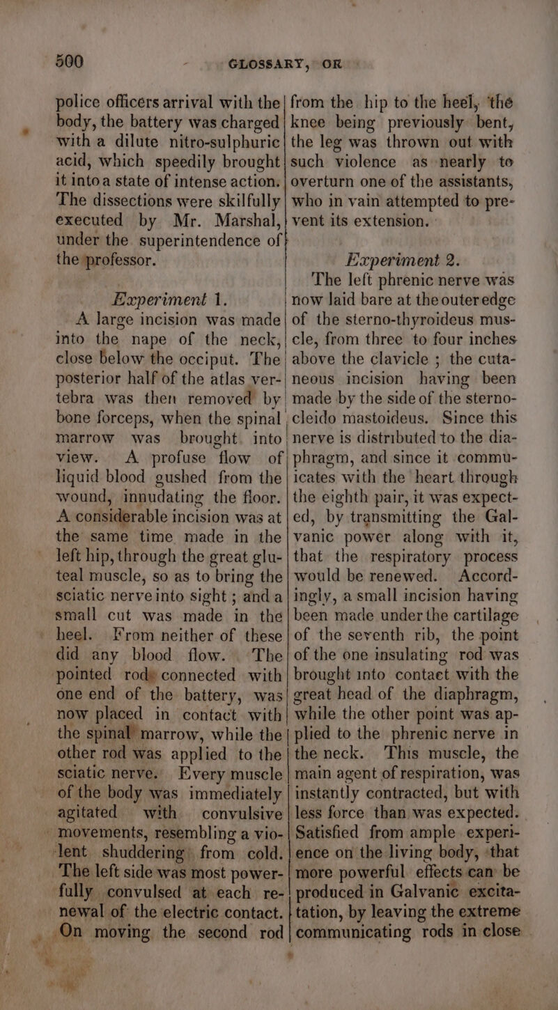 police officers arrival with the body, the battery was charged with a dilute nitro-sulphuric acid, which speedily brought it intoa state of intense action: The dissections were skilfully executed by Mr. Marshal, the professor. Experiment 1. from the hip to the heel, ‘the knee being previously bent, the leg was thrown out with such violence as nearly to overturn one of the assistants, who in vain attempted to pre- vent its extension. » Experiment 2. The left phrenic nerve was now laid bare at the outer edge close below the occiput. The posterior half of the atlas ver- tebra was then removed by marrow was view. liquid blood gushed from the wound, innudating the floor. A considerable incision was at the same time made in the left hip, through the great glu- teal muscle, so as to bring the sciatic nerveinto sight ; anda small cut was made in the heel. rom neither of these did any blood flow. ‘The pointed rod» connected with one end of the battery, was now placed in contact with brought into above the clavicle ; the cuta- neous incision having been made by the side of the sterno- nerve is distributed to the dia- icates with the heart through the eighth pair, it was expect- ed, by transmitting the Gal- vanic power along with it, that the respiratory process would be renewed. Accord- ingly, a small incision having been made under the cartilage of the seventh rib, the point of the one insulating rod was brought into contaet with the great head of the diaphragm, while the other point was ap- the spinal marrow, while the | plied to the phrenic nerve in other rod was applied to the|the neck. This muscle, the sciatic nerve. Every muscle | main agent of respiration, was of the body was immediately | instantly contracted, but with agitated with convulsive | less force than was expected. - movements, resembling a vio-| Satisfied from ample experi- ‘lent shuddering) from cold. | ence on the living body, ‘that The left side was most power-| more powerful effects can’ be fully convulsed at each re-! produced in Galvanic excita- newal of the electric contact. | tation, by leaving the extreme On moving the second rod| communicating rods in close . a a 5 ati a