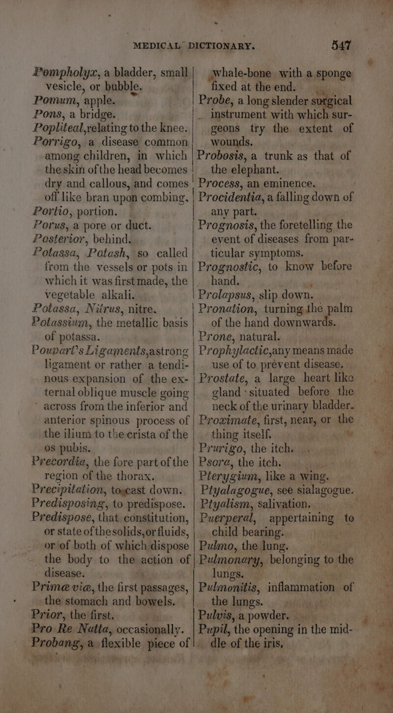 » MEDICAL DICTIONARY. 547 Pompholyx, a bladder, small vesicle, or bubble. fixed attheend. an agi: Pomum, apple. Probe, a long slender anya! Pons, a bridge. . Instrument with which sur- Popliteal,relating tothe knee.| geons try the extent of Porrigo, a disease common wounds. among children, in which | Probosis, a trunk as that of theskin ofthe head becomes | _ the elephant. dry and callous, and comes | Process, an eminence. off like bran upon combing, | Procidenfia, a falling down of wwhale-bone with a sponge Portio, portion. | any part. Porus, a pore or duct. | Prognosis, the foretelling the Posterior, behind. event of diseases from par- Potassa, Potash, so called| ticular symptoms. from the vessels or pots in | Prognostic, to know before which it was first made, the hand, vegetable alkali. | Prolapsus, slip down. Potassa, Niirus, nitre. | Pronation, turning the pene Potassium, the metallic basis | of the hand downwar of potassa. Prone, natural. Poupari’s Ligaments,astrong | Proph ylactic, any means made ligament or rather a tendi- | . use of to prevent disease. nous expansion of the ex- | Prostate, a large heart like ternal oblique muscle going | _ gland: ‘situated before the across from the inferior and | neck of the ur inary bladder. anterior spinous process of | Prowimate, first, near, or the the ilium to the erista of the |. thing itself, ahd os pubis. Prur igo, the itch. . Precordia, the fore part of the | Psere, the itch, region of the thorax. Plerygium, like a wing. Precipitation, togcast down. | Ptyalagogue, see sialagogue. Predisposing, to predispose. | Ptyalism, salivation. Predispose, that constitution, | Puerperal, appertaining to or state ofthesolids,orfiuids, ; child bearing. | or of both of which dispose Pulmo, the lung. the body to the action of | Pulmonary, belonging to the disease. lungs. Prime via, the rata passages, Pulmonitis, inflamimngeeatn of the stomach and bowels. the dunes... yupiiig uit! Prior, the first. is Pulvis, a powder. Aiud Pro Re Natta, occasionally. Pupil, ‘the opening in the mid- Reale a flexible meee of |. «dle of the iris, evi