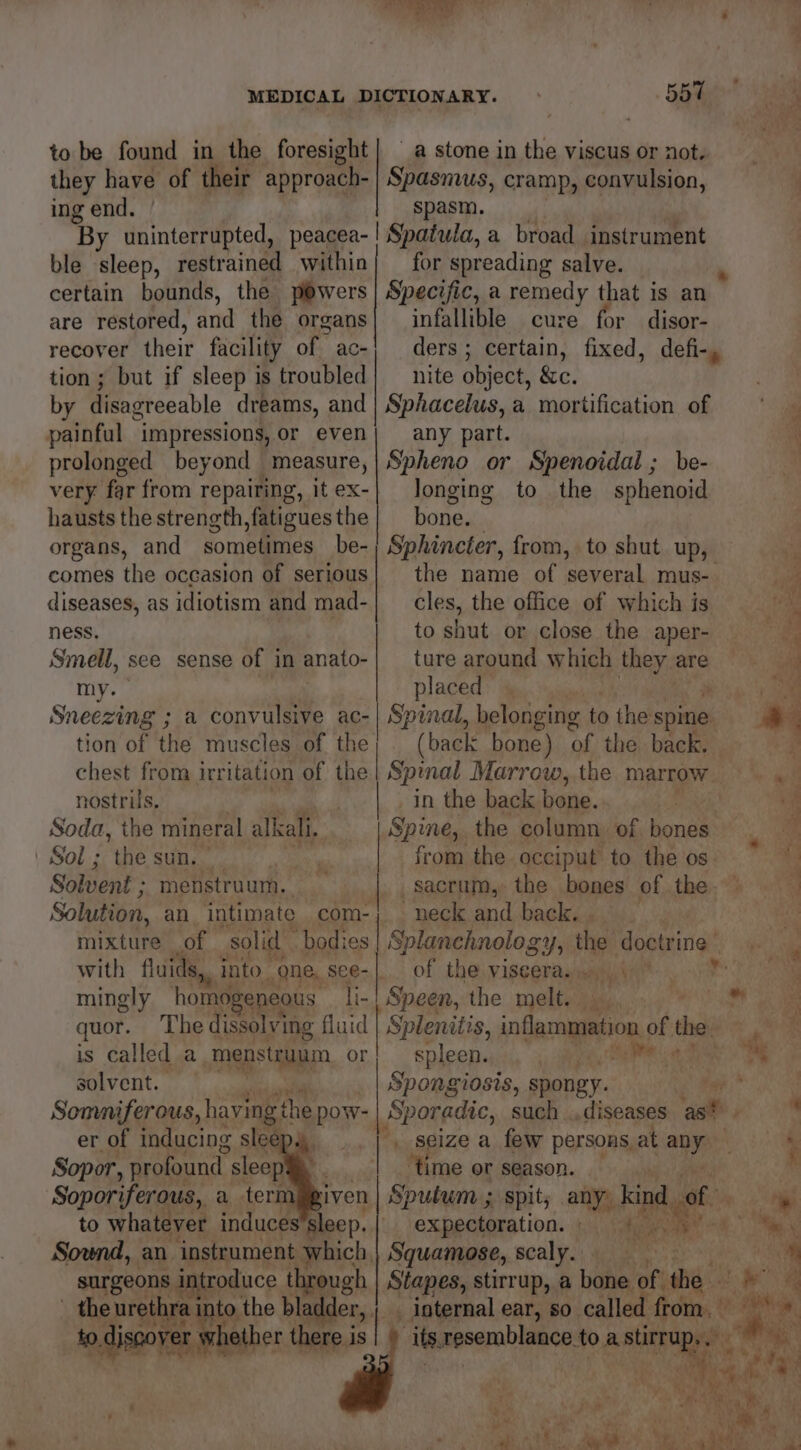 po (a MEDICAL DICTIONARY. 557 to be found in the foresight| a stone in the viscus or not. they have of their approach- | Spasmus, cramp, convulsion, ing end. spasm. By uninterrupted, peacea-! Spatula, a broad instrument ble sleep, restrained within} for spreading salve. certain bounds, the powers | Specific, a remedy that is an are restored, and the organs| infallible cure for disor- recover their facility of ac- tion; but if sleep is troubled by disagreeable dreams, and painful impressions, or even prolonged beyond measure, Spheno or Spenoidal ; be- very far from repairing, itex-| longing to the sphenoid hausts the strength, fatigues the | bone. organs, and sometimes _be- Sphincter, from, to shut up, comes the occasion of serious| the name of several mus- diseases, as idiotism and mad-| cles, the office of which is nite object, &amp;c. Sphacelus, a mortification of any part. Se eS ee _ the urethra to the bladder, ; internal ear, so. called from. to »disover hether oa is ale ness. to shut or close the aper- Smell, see sense of in anato-| ture around whit they. are my. placed | - Sneezing ; a convulsive Ame belonging to ‘thet spine f tion of the muscles of the; (back bone) of the back. p chest from irritation of the | Spinal Marrow, the marrow. ai nostrils, he in the back bone. i if Soda, the mineral alkali. Spine, the column. of bones a ‘Sol; the sun. ig from the occiput to the os * Solvent ; menstruum. -—-|._. sacrum, the bones of the.’ : Solution, an intimate com-; neck and back. _ Is, mixture _ of solid “bodies Splanchnology, the dogtrings ate with fluids, into one, see-| of the viscera. ™ \ mingly homogeneous li-| Speen, the melt. Bsa? ae oe quor. The dissolving fluid Splenitis, inflammation of the. ee is called a menstruum or} spleen, at * solvent. ai Spongiosis, spongy. Somniferous, having the pow- Sporadic, such .,diseases ast.  er of inducing slee . seize a few persons at ae ‘, Sopor, profound sleep . ip ‘time or season. _ i Soporiferous, a termpgiven 1| Sputum ; spit; any. kind laf oe to whatever induces sleep. expectoration. «| i % m Sownd, an instrument which, Squamose, scaly. a surgeons introduce through Stapes, stirrup, a bone. of the He ral a