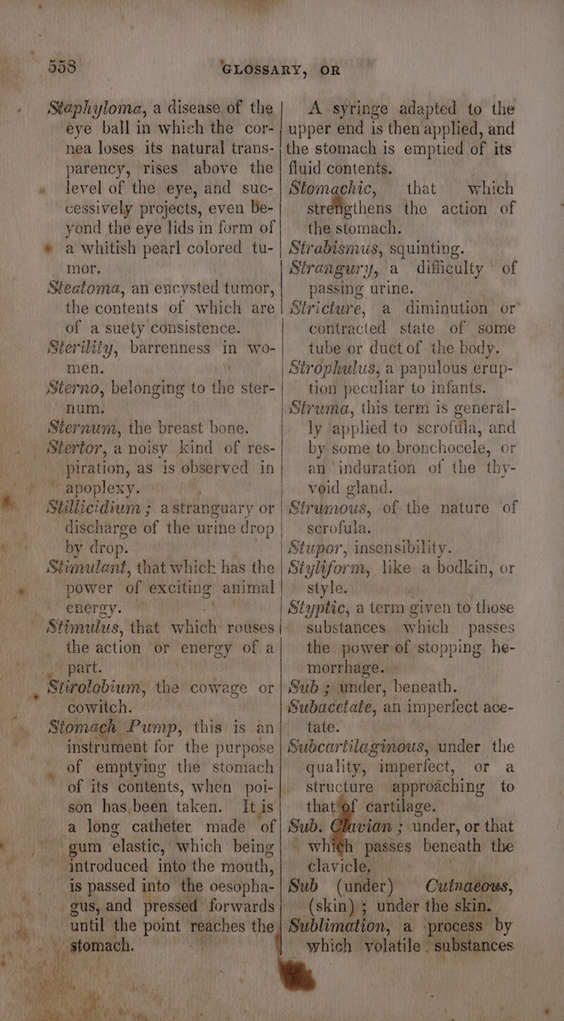 . Staphyloma, a disease of the eye ball in which the cor- nea loses its natural trans- parency, rises above the level of the eye, and suc- cessively projects, even Be- yond the eye lids in form of a whitish pearl colored tu- mor. Steatoma, an encysted tumor, the contents of which are of a suety consistence. Sterility, barrenness in wo- men, | Sterno, belonging to the ster- num. Sternum, the breast bone. ee Stertor,, a noisy kind of res- piration, as is observed in » “apoplexy. Stillictdium ; astranguary or Gischarge of the urine drop by drop. Stimulent, that whick has the power of exciting animal Oo enéroy. i hs Stimulus, that which rouses ji he action oF energy of a Pe isa ge | Stirolobium, the cowage or cowitch. Stomach Pump, this is an instrument for the purpose of emptying the stomach » son has been taken. gum elastic, which being | introduced into the mouth, is passed into tl the oesopha- gus, and pressed forwards ies the oh es the | A syringe adapted to the | upper end is then applied, and bane stomach is emptied of its fluid contents. | Stomae chic, that © which str Methens the action of the stomach, Strabismus, squinting. Strangury, a dificulty — of passing urine. Stricture, a diminution or’ contracted state of some tube or duct of the body. Strophulus, a papulous erup- tion peculiar to infants. Struma, this.term is general- ly applied to scroftija, and by some to bronchocele, or an ‘induration of the thy- void gland. Strumous, of the nature of sae ofl Stupor , insensibility. | Sta yliform, like a bodkin, or style. , Styptic, a term given to those substances which passes the power of stopping he- morrhage. © Sub ; under, beneath. Subacctate, an imperfect ace- tate. Subcartilaginous, under the quality, imperfect, or a structure approaching to that'of cartilage. vian ; under, or that - whi¢h passes beneath the Davie Sub (under) Cutnaeous, (skin) ; under the skin. ‘Sublimation, a process by which ‘volatile “substances