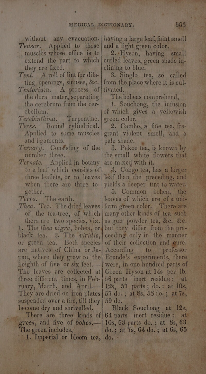 Bane aa y tie “ tan A Lab. ok i iy ae ¥ : mea i) ‘ : t % r MEDICAL DICTIONARY. 503° » Without any, evacuation. | having a large leaf, faint smell Tensor. Applied to those | and a light green color. i muscles whose office is tal eg 2.*Hyson, having small extend the part to which | curled leaves, green shadein-- + they are fixed. clining to blue. ' Tent. Aroll of lint for dila-| 3. Singlo tea, so called ‘ting SHEninEs, sinuses, &amp;c. | from the place where it is cul-_ Tentoriwin. A process. of | tivated. the dura mater, separating} ‘The boheas comprehend, the cerebrum from the cer-| _ 1. Souchong, the infusion ebellum. of which gives a yellowish i, Terebinthina. | Turpentine. | green color. ° ” Teres. Round cylindrical.| 2. Camho, a fine tea, fra- : Applied to some muscles | grant violent smell, fand vay) jn and ligaments. pale shade. Ternary. Coneeate of the| 3. Pekoe fea, is known by number three. the small white flowers that Ternate. Applied in botany |are mixed with it. | to a leaf which consists of A, Congo tea, has. a Tanger three leaflets, or to leaves! Yéaf than ‘the preceding, and | 2 when there are three to-| yields a deeper tint to water. a. s gether. ) | 5, Common babi Lae Terra. The earth. ant Thea. “Tea. The dried ees ee teen, pat Ther 7 of the tea-tree, of which | many other kinds of tea suc there are two species, im as gun powder tea, &amp;c. yey 1. The thea nigra, bohea, or but the ey differ from the pre- fie black tea. 2. The vwiridis,| ceeding only in the manner or green tea. Both a ae of their collection ate, are natives of China or Ja.| According to. professor pan, where they grow to the; Brande’s experiments, there heighth of five or six feet.—| were, in one hundred parts of The leaves are collected at| Green Hyson at 14s per Ib. three different times, in Feb-) 56 parts inert residue: at ruary, March, and fon — (18 12s, 57 parts; do.: at 10s, fi They are dried on iron plates | 57. do. ; at 8s, 58 do. ; a ict Ni ‘suspended over a a fire, till they | 59 do. en become dry and shriveled. Black Souchong at. ‘12s, Beis 64 parts inert residue: at) ise and five of bohea.— 10s, 63 parts do, : at 8s, ime he green includes, do.; at 7s, 64 do, ; at 6s, 65. a M2 pk Tipper or bloom tea, |do, ey oak i Vie : rf ve Royse itd i x the tA , ih { ; bi Age ae oe ae RRR aN aD