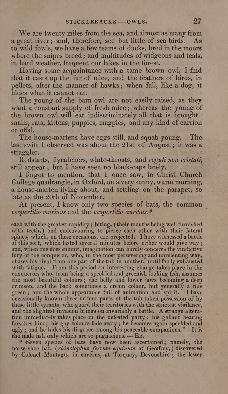 STICKLEBACKS —OWLS. 27 We are twenty miles from the sea, and almost as many from a great river; and, therefore, see but little of sea birds. As to wild fowls, we have a few teams of ducks, bred in the moors where the snipes breed; and multitudes of widgeons and teals, in hard weather, frequent our lakes in the forest. Having some acquaintance with a tame brown owl, I find that it casts up the fur of mice, and the feathers of birds, in pellets, after the manner of hawks; when full, like a dog, it hides what it cannot eat. The young of the barn owl are not easily raised, as they want a constant supply of fresh mice; whereas the young of the brown owl will eat indiscriminately all that is brought snails, rats, kittens, puppies, magpies, and any kind of carrion or offal. The house-martens have eggs still, and squab young. The last swift I observed was about the 21st of August; it was a straggler. Redstarts, flycatchers, white-throats, and reguli non cristati, still appear ; but I have seen no black-caps lately. I forgot to mention, that I once saw, in Christ Church College quadrangle, in Oxford, on a very sunny, warm morning, a house-marten flying about, and settling on the parapet, so late as the 20th of November. At present, I know only two species of bats, the common vespertilio murinus and the vespertilo auribus.* each with the greatest rapidity ; biting, (their mouths being well furnished with teeth,) and endeavouring to pierce each other with their lateral spines, which, on these occasions, are projected. I have witnessed a battle of this sort, which lasted several minutes before either would give way ; and, when one does submit, imagination can hardly conceive the vindictive fury of the conqueror, who, in the most persevering and unrelenting way, chases his rival from one part of the tub to another, until fairly exhausted with fatigue. From this period an interesting change takes place in the conqueror, who, from being a speckled and greenish looking fish, assumes the most beautiful colours; the belly and lower jaws becoming a deep crimson, and the back sometimes a cream colour, but generally a fine green; and the whole appearance full of animation and spirit. I have eccasionally known three or four parts of the tub taken possession of by these little tyrants, who guard their territories with the strictest vigilance, and the slightest invasion brings on invariably a battle. A strange altera- tion immediately takes place in the defeated party: his gallant bearing forsakes him; his gay colours fade away ; he becomes again speckled and ugly ; and he hides his disgrace among his peaceable companions.” It is the male fish only which are so pugnacious. — Ep. * Seven species of bats have now been ascertained; namely, the horse-shoe bat, (rhinolophus ferrum-equinum of Geoffroy, ) discovered by Colonel Montagu, in caverns, at Torquay, Devonshire ; the lesser