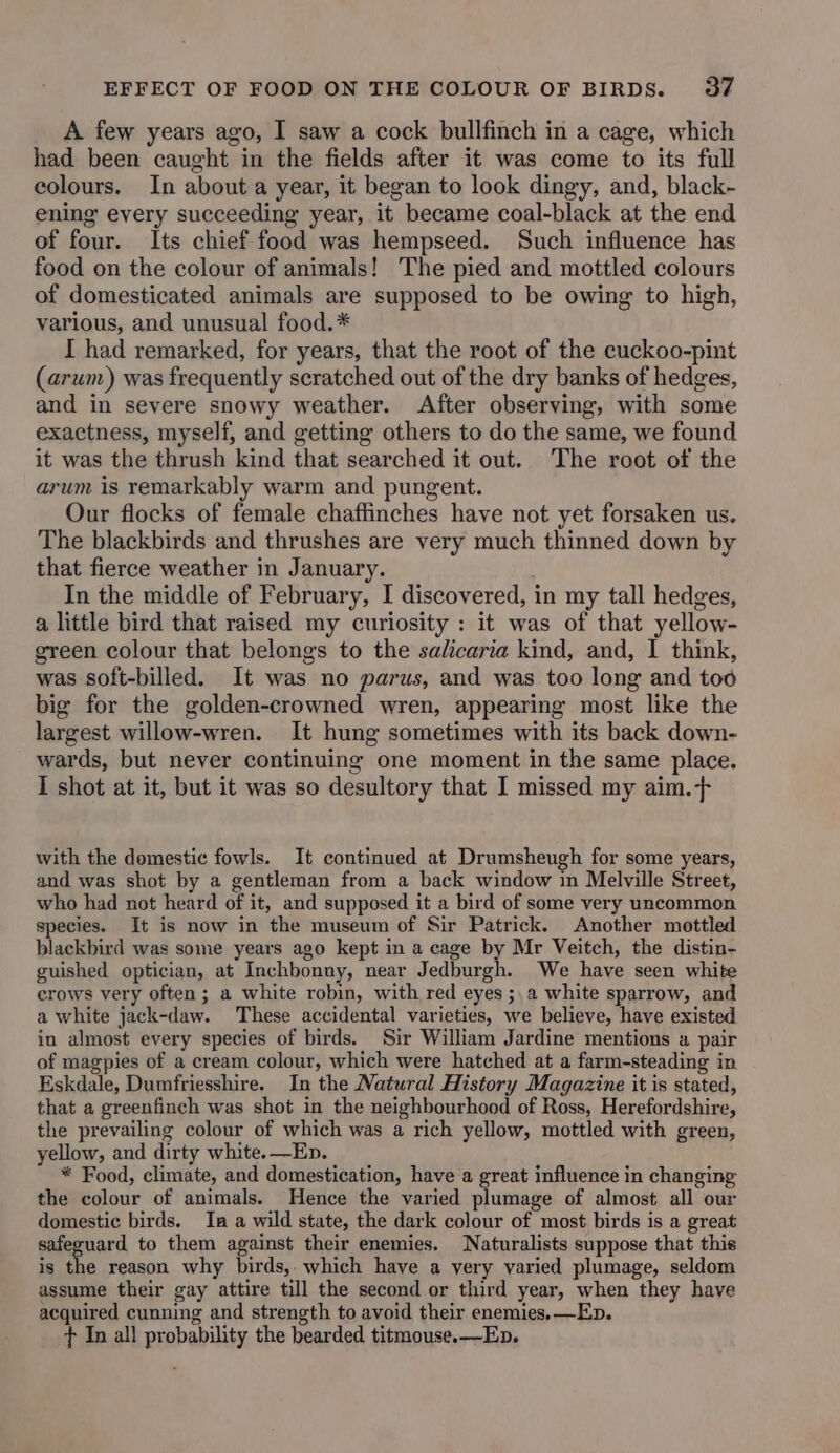A few years ago, I saw a cock bullfinch in a cage, which had been caught in the fields after it was come to its full colours. In about a year, it began to look dingy, and, black- ening every succeeding year, it became coal-black at the end of four. Its chief food was hempseed. Such influence has food on the colour of animals! The pied and mottled colours of domesticated animals are supposed to be owing to high, various, and unusual food.* I had remarked, for years, that the root of the cuckoo-pint (arum) was frequently scratched out of the dry banks of hedges, and in severe snowy weather. After observing, with some exactness, myself, and getting others to do the same, we found it was the thrush kind that searched it out. The root of the arum is remarkably warm and pungent. Our flocks of female chaffinches have not yet forsaken us, The blackbirds and thrushes are very much thinned down by that fierce weather in January. In the middle of February, I discovered, in my tall hedges, a little bird that raised my curiosity : it was of that yellow- green colour that belongs to the salicaria kind, and, I think, was soft-billed. It was no parus, and was too long and too big for the golden-crowned wren, appearing most like the largest willow-wren. It hung sometimes with its back down- wards, but never continuing one moment in the same place. I shot at it, but it was so desultory that I missed my aim.+ with the domestic fowls. It continued at Drumsheugh for some years, and was shot by a gentleman from a back window in Melville Street, who had not heard of it, and supposed it a bird of some very uncommon species. It is now in the museum of Sir Patrick. Another mottled blackbird was some years ago kept in a cage by Mr Veitch, the distin- guished optician, at Inchbonny, near Jedburgh. We have seen white crows very often; a white robin, with red eyes ;,a white sparrow, and a white jack-daw. These accidental varieties, we believe, have existed in almost every species of birds. Sir William Jardine mentions a pair of magpies of a cream colour, which were hatched at a farm-steading in Eskdale, Dumfriesshire. In the Natural History Magazine it is stated, that a greenfinch was shot in the neighbourhood of Ross, Herefordshire, the prevailing colour of which was a rich yellow, mottled with green, yellow, and dirty white. —En. * Food, climate, and domestication, have a great influence in changing the colour of animals. Hence the varied plumage of almost all our domestic birds. In a wild state, the dark colour of most birds is a great safeguard to them against their enemies. Naturalists suppose that this is the reason why birds, which have a very varied plumage, seldom assume their gay attire till the second or third year, when they have acquired cunning and strength to avoid their enemies. —Ep. + In all probability the bearded titmouse.—Ep.
