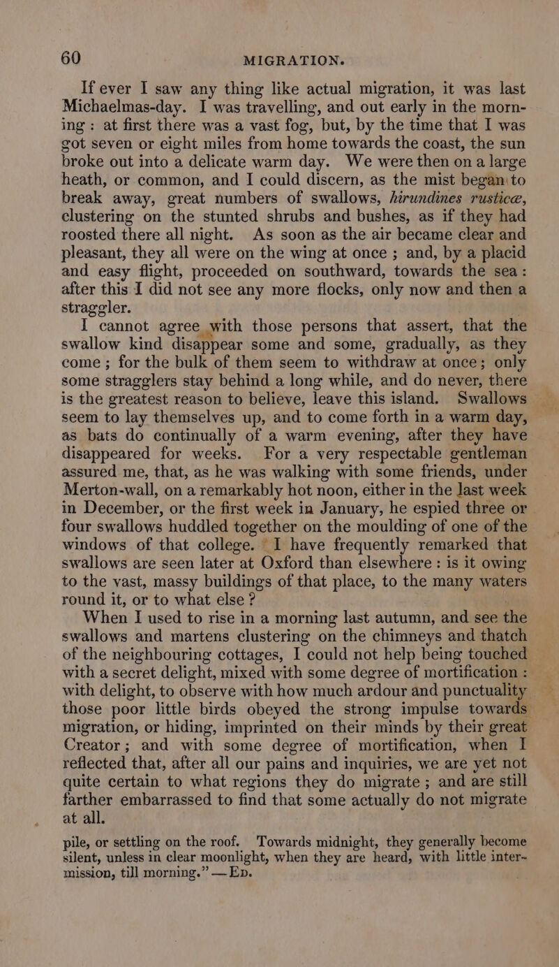 If ever I saw any thing like actual migration, it was last Michaelmas-day. I was travelling, and out early in the morn- ing: at first there was a vast fog, but, by the time that I was got seven or eight miles from home towards the coast, the sun broke out into a delicate warm day. We were then on a large heath, or common, and I could discern, as the mist began to break away, great numbers of swallows, hirwndines rustice, clustering on the stunted shrubs and bushes, as if they had roosted there all night. As soon as the air became clear and pleasant, they all were on the wing at once ; and, by a placid and easy flight, proceeded on southward, towards the sea: after this I did not see any more flocks, only now and then a straggler. . I cannot agree &gt; with those persons that assert, that the swallow kind disappear some and some, gradually, as they come ; for the bulk of them seem to withdraw at once; only some stragglers stay behind a long while, and do never, there seem to lay themselves up, and to come forth in a warm day, as bats do continually of a warm evening, after they have disappeared for weeks. For a very respectable gentleman assured me, that, as he was walking with some friends, under Merton-wall, on a remarkably hot noon, either in the last week in December, or the first week in January, he espied three or four swallows huddled together on the moulding of one of the windows of that college. I have frequently remarked that swallows are seen later at Oxford than elsewhere : is it owing to the vast, massy buildings of that place, to the many waters round it, or to what else ? When I used to rise in a morning last autumn, and see the swallows and martens clustering on the chimneys and thatch of the neighbouring cottages, I could not help being touched with a secret delight, mixed with some degree of mortification : with delight, to observe with how much ardour and punctuality those poor little birds obeyed the strong impulse towards migration, or hiding, imprinted on their minds by their great Creator; and with some degree of mortification, when I reflected that, after all our pains and inquiries, we are yet not quite certain to what regions they do migrate ; and are still farther embarrassed to find that some actually do not migrate at all. pile, or settling on the roof. Towards midnight, they generally become silent, unless in clear moonlight, when they are heard, with little inter- mission, till morning.” — Ep.