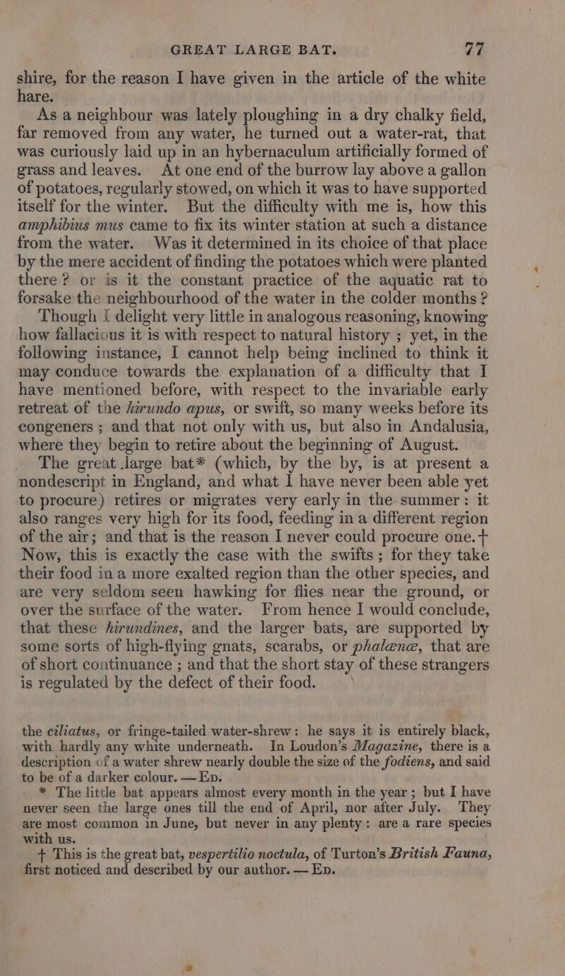 shire, for the reason I have given in the article of the white hare. As a neighbour was lately ploughing in a dry chalky field, far removed from any water, he turned out a water-rat, that was curiously laid up in an hybernaculum artificially formed of grass and leaves. At one end of the burrow lay above a gallon of potatoes, regularly stowed, on which it was to have supported itself for the winter. But the difficulty with me is, how this amphibius mus came to fix its winter station at such a distance from the water. Was it determined in its choice of that place by the mere accident of finding the potatoes which were planted there? or is it the constant practice of the aquatic rat to forsake the neighbourhood of the water in the colder months ? Though { delight very little in analogous reasoning, knowing how fallacious it is with respect to natural history ; yet, in the following instance, I cannot help being inclined to think it may conduce towards the explanation of a difficulty that I have mentioned before, with respect to the invariable early retreat of the hirwndo apus, or swift, so many weeks before its congeners ; and that not only with us, but also in Andalusia, where they begin to retire about the beginning of August. The great large bat* (which, by the by, is at present a nondescript in England, and what I have never been able yet to procure) retires or migrates very early in the summer : it also ranges very high for its food, feeding in a different region of the air; and that is the reason I never could procure one. + Now, this is exactly the case with the swifts; for they take their food in a more exalted region than the other species, and are very seldom seen hawking for flies near the ground, or over the surface of the water. From hence I would conclude, that these hirwndines, and the larger bats, are supported by some sorts of high-flying gnats, scarabs, or phalene, that are of short continuance ; and that the short stay of these strangers is regulated by the defect of their food. the ciliatus, or fringe-tailed water-shrew: he says it is entirely black, with hardly any white underneath. In Loudon’s Magazine, there is a description of a water shrew nearly double the size of the fodiens, and said to be of a darker colour. — Ep. * The little bat appears almost every month in the year; but I have never seen the large ones till the end of April, nor after July. They are most common in June, but never in any plenty: are a rare species with us. + This is the great bat, vespertilio noctula, of Turton’s British Fauna, first noticed and described by our author. — En.