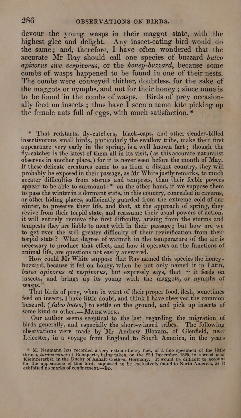 devour the young wasps in their maggot state, with the highest glee and delight. Any insect-eating bird would do the same; and, therefore, I have often wondered that the accurate Mr Ray should call one species of buzzard buteo apivorus sive vespivorus, or the honey-buzzard, because some combs of wasps happened to be found in one of their nests. Thé combs were conveyed thither, doubtless, for the sake of the maggots or nymphs, and not for their honey ; since none is to be found ‘in the combs of wasps. Birds of prey occasion- ally feed on insects ; thus have I seen a tame kite picking up the female ants full of eggs, with much satisfaction.* * That redstarts, fly-catchers, black-caps, and other slender-billed insectivorous small birds, particularly the swallow tribe, make their first appearance very early in the spring, is a well known fact; though the fly-catcher is the latest of them all in its visit, (as this accurate naturalist observes in another place, ) for it is never seen before the month of May. If these delicate creatures come to us from a distant country, they will probably be exposed in their passage, as Mr White justly remarks, to much greater difficulties from storms and tempests, than their feeble powers appear to be able to surmount :* on the other hand, if we suppose them to pass the winter in a dormant state, in this country, concealed in caverns, or other hiding places, sufficiently guarded from the extreme cold of our winter, to preserve their life, and that, at the approach of spring, they revive from their torpid state, and reassume their usual powers of action, it will entirely remove the first difficulty, arising from the storms and tempests they are liable to meet with in their passage; but how are we to get over the still greater difficulty of their revivification from their torpid state? What degree of warmth in the temperature of the air is necessary to produce that effect, and how it operates on the functions of animal life, are questions not easily answered. How could Mr White suppose that Ray named this species the honey - buzzard, because it fed'on honey, when he not only named it in Latin, buteo apivorus et vespivorus, but expressly says, that ‘“ it feeds on insects, and brings up its young with the maggots, or nymphs of wasps.” That birds of prey, when in want of their proper food, flesh, sometimes feed on insects, I have little doubt, and think I have observed the common buzzard, ( falco buteo,) to settle on the ground, and pick up insects of some kind or other.— Marxwick. Our author seems sceptical to the last regarding the migration of birds generally, and especially the short-winged tribés. The following observations were made by Mr Andrew Bloxam, of Glenfield, near Leicester, in a voyage from England to South America, in the years * M, Neumann has recorded a very extraordinary fact, of a fine specimen of the little thrush, turdus minor of Bonaparte, being taken, on the 22d December, 1825, in a wood near Kleinzererbst, in the Duchy of Anhalt-Cothen, Germany. It would be difficult to aceount for the appearance of this bird, supposed to be exclusively found in North America, as it exhibited no marks of confinement.— Kp.