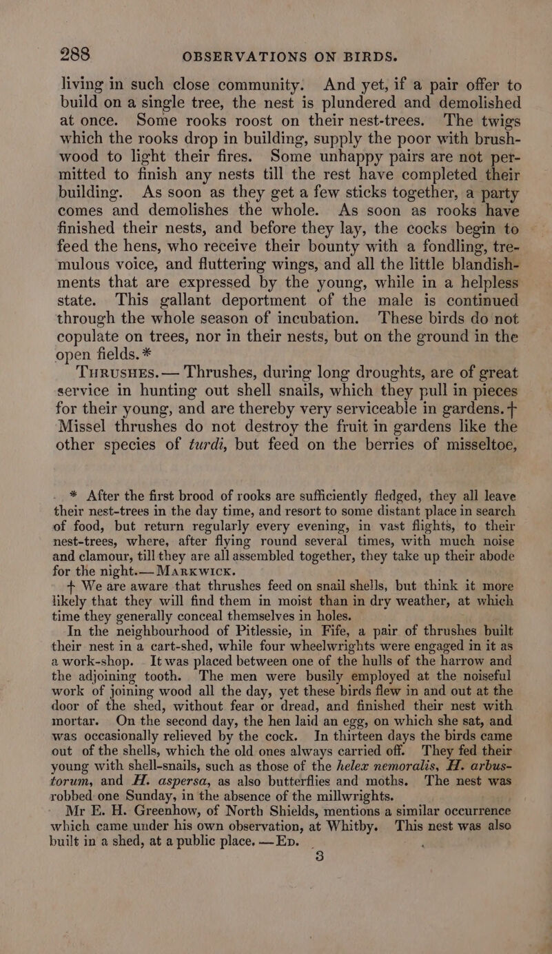 living in such close community. And yet, if a pair offer to build on a single tree, the nest is plundered and demolished at once. Some rooks roost on their nest-trees. The twigs which the rooks drop in building, supply the poor with brush- wood to light their fires. Some unhappy pairs are not per- mitted to finish any nests till the rest have completed their building. As soon as they get a few sticks together, a party comes and demolishes the whole. As soon as rooks have finished their nests, and before they lay, the cocks begin to feed the hens, who receive their bounty with a fondling, tre- mulous voice, and fluttering wings, and all the little blandish- ments that are expressed by the young, while in a helpless state. This gallant deportment of the male is continued through the whole season of incubation. These birds do not copulate on trees, nor in their nests, but on the ground in the open fields. * TurusHEs.— Thrushes, during long droughts, are of great service in hunting out shell snails, which they pull in pieces for their young, and are thereby very serviceable in gardens. + Missel thrushes do not destroy the fruit in gardens like the other species of fuwrdi, but feed on the berries of misseltoe, * After the first brood of rooks are sufficiently fledged, they all leave their nest-trees in the day time, and resort to some distant place in search of food, but return regularly every evening, in vast flights, to their nest-trees, where, after flying round several times, with much noise and clamour, till they are all assembled together, they take up their abode for the night.— Marxwicx. We are aware that thrushes feed on snail shells, but think it more likely that they will find them in moist than in dry weather, at which time they generally conceal themselves in holes. In the neighbourhood of Pitlessie, in Fife, a pair of thrushes built their nest in a cart-shed, while four wheelwrights were engaged in it as awork-shop. | It was placed between one of the hulls of the harrow and the adjoiming tooth. The men were busily employed at the noiseful work of joining wood all the day, yet these birds flew in and out at the door of the shed, without fear or dread, and finished their nest with mortar. On the second day, the hen laid an egg, on which she sat, and was occasionally relieved by the cock. Jn thirteen days the birds came out of the shells, which the old ones always carried off. They fed their young with shell-snails, such as those of the helex nemoralis, H. arbus- torum, and H. aspersa, as also butterflies and moths. The nest was robbed: one Sunday, in the absence of the millwrights. Mr E. H. Greenhow, of North Shields, mentions a similar occurrence which came under his own observation, at Whitby. This nest was also built in a shed, at a public place. —Ep. _ 3